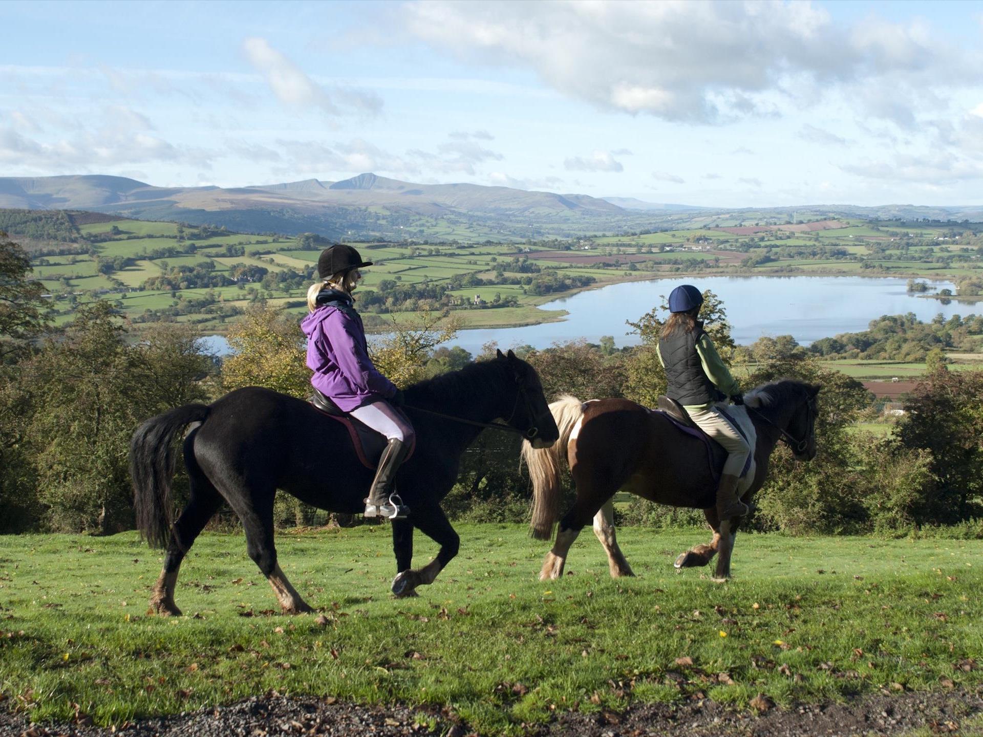 Horse Riding in the Brecon Beacons