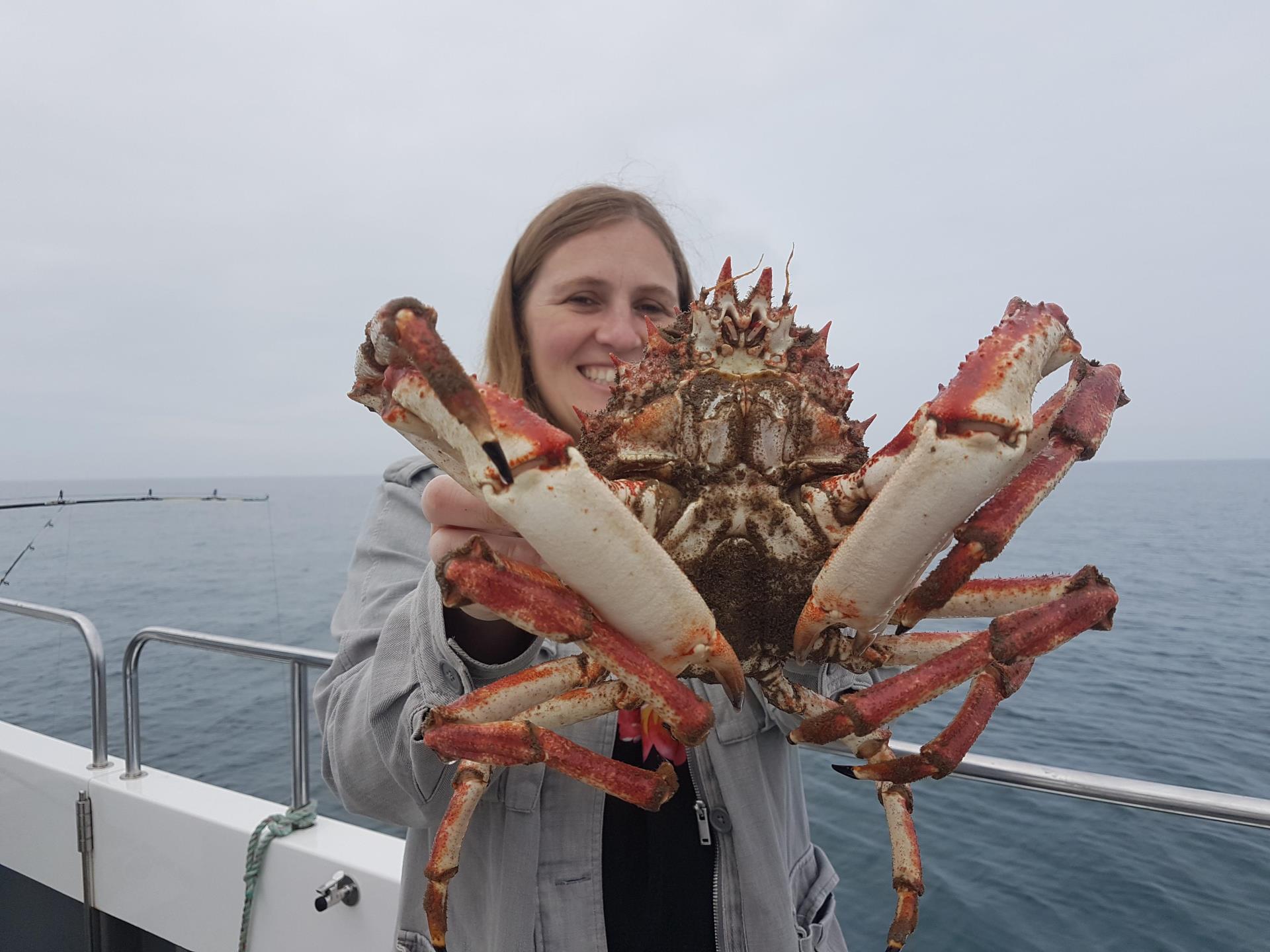 Massive spider crab on an Epic Fishing Trip