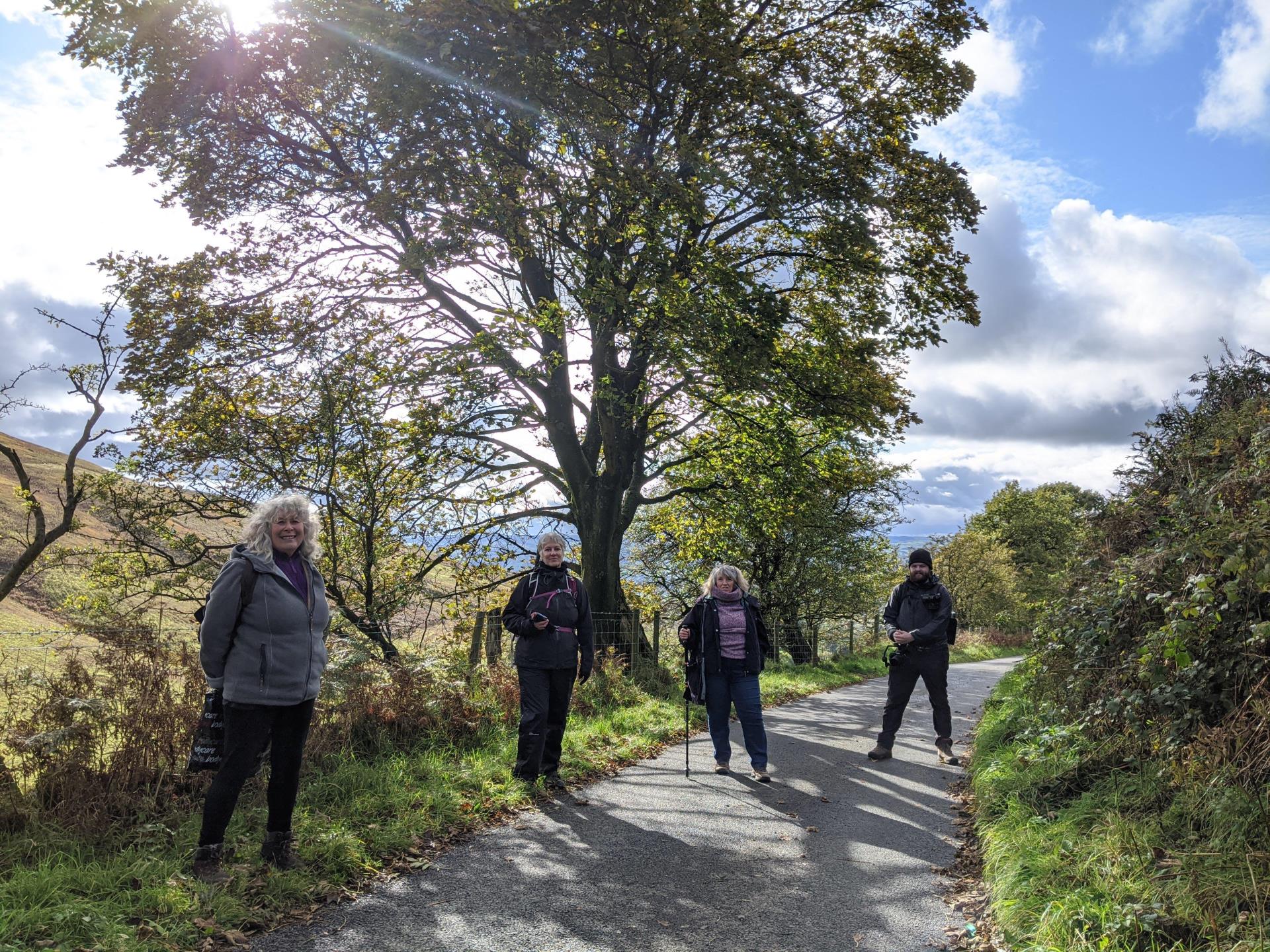 Learn mindfulness on a guided walk