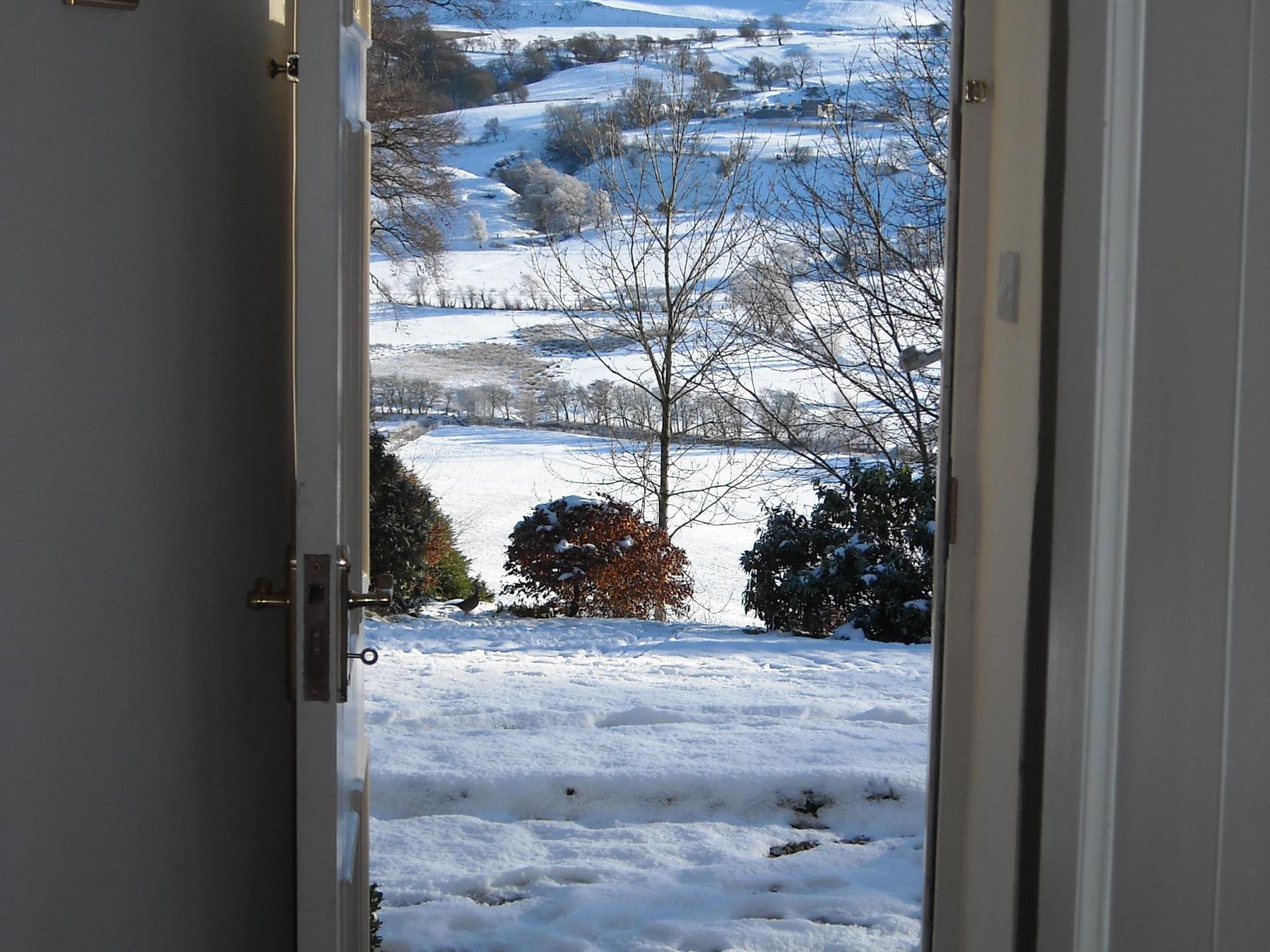 View from front door with a flurry of snow