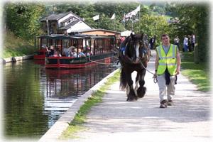llangollen horse drawn canal trips