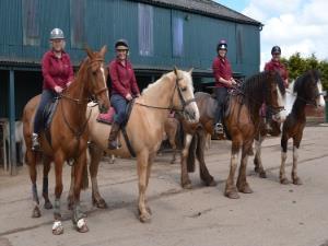 horse riding tour wales