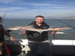 sea fishing trips penarth