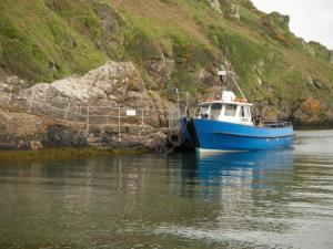 dive pembrokeshire boat trips