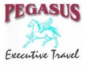 pegasus travel south africa
