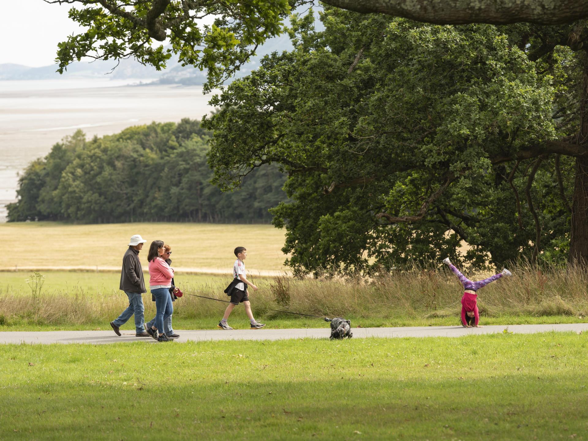 Penrhyn Castle's grounds are your playgroudns