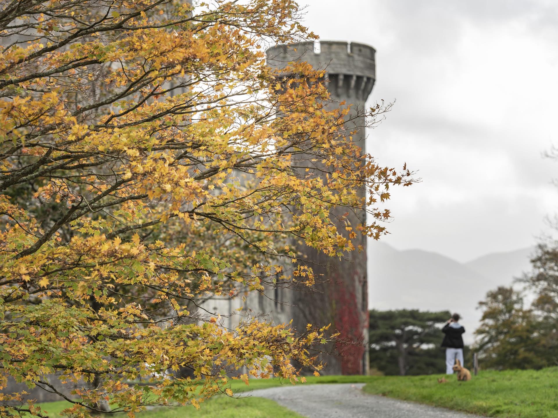 Autumn colour at Penrhyn Castle