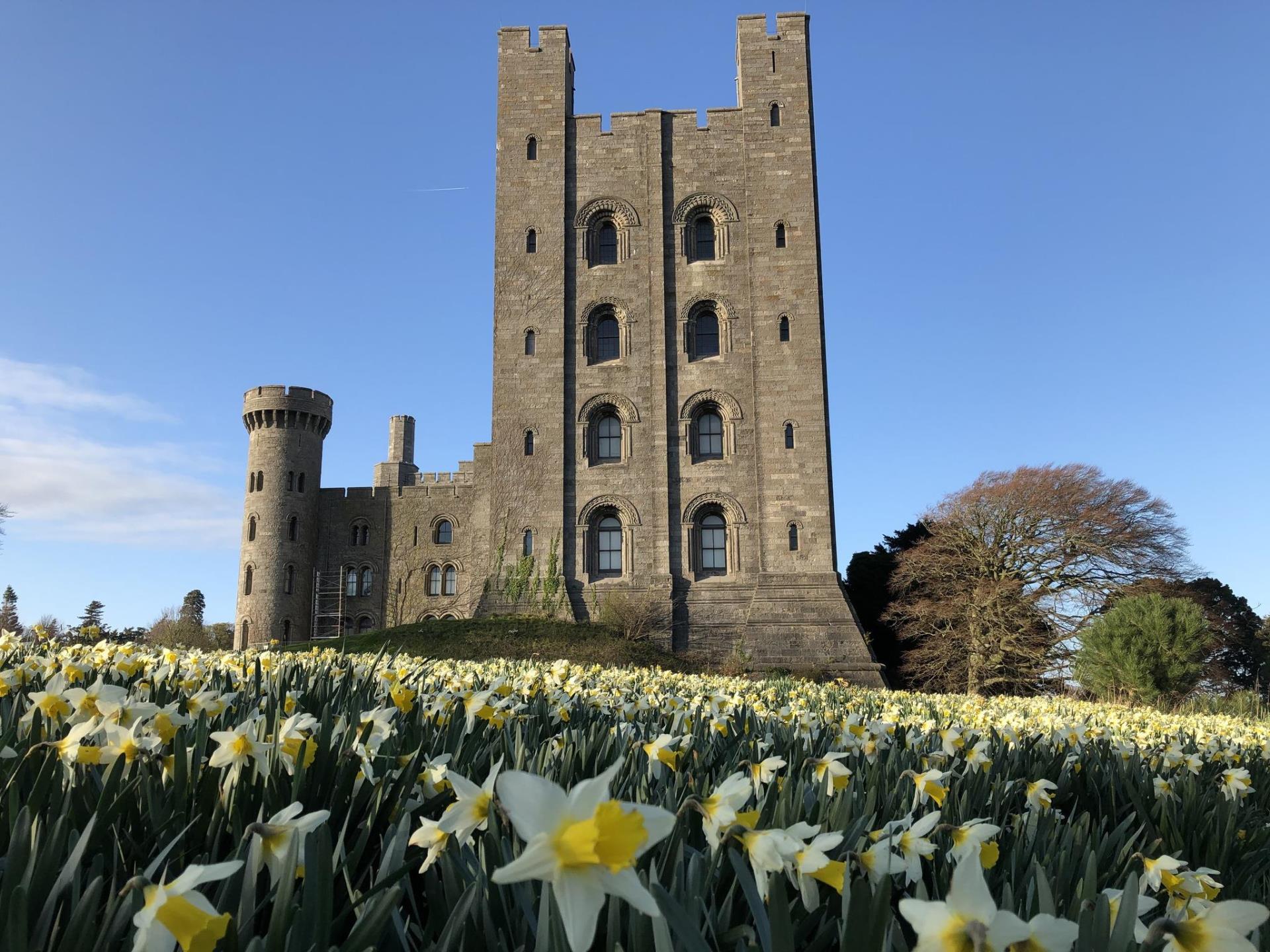 Spring at Penrhyn Castle