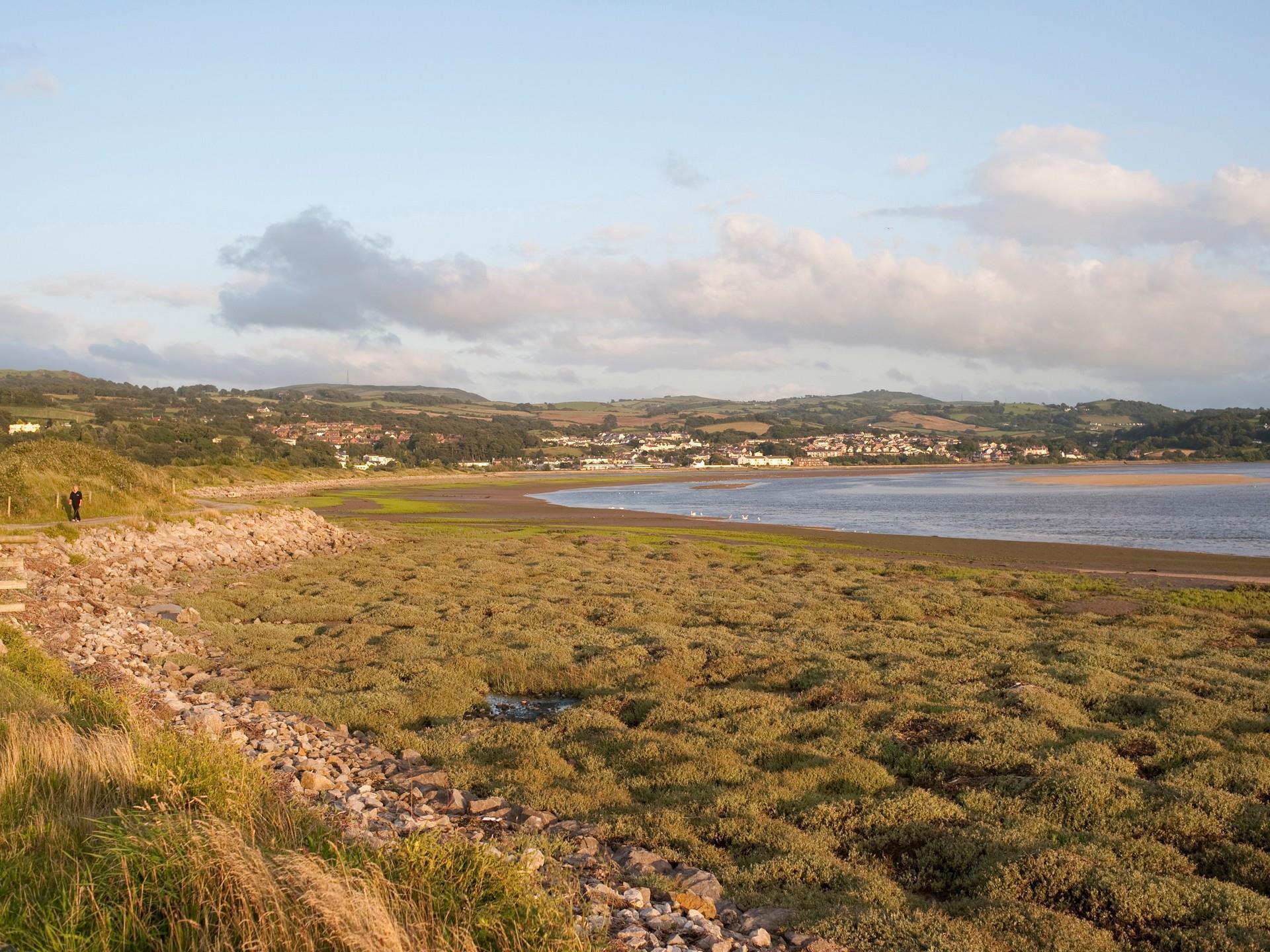 RSPB Conwy Nature Reserve | VisitWales