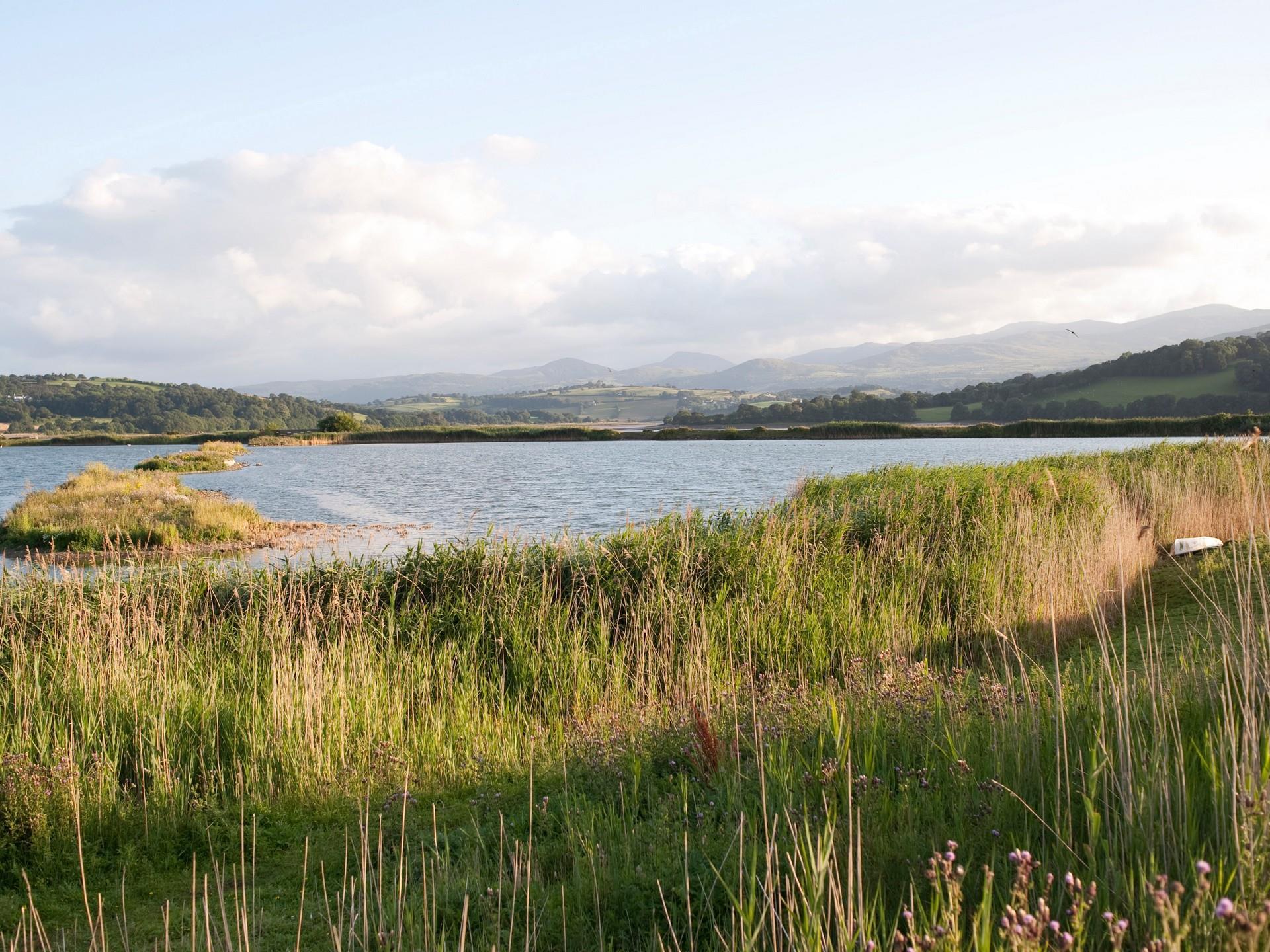 RSPB Conwy