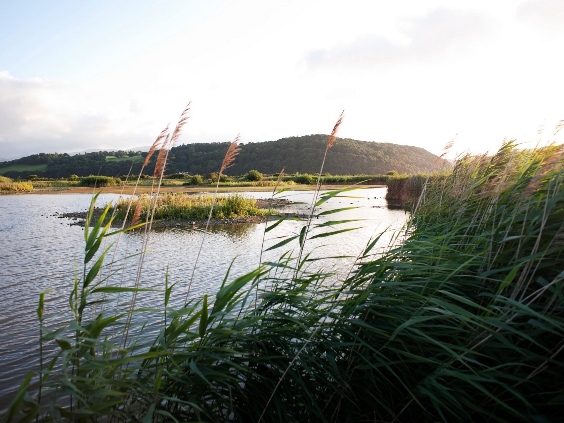 RSPB Conwy