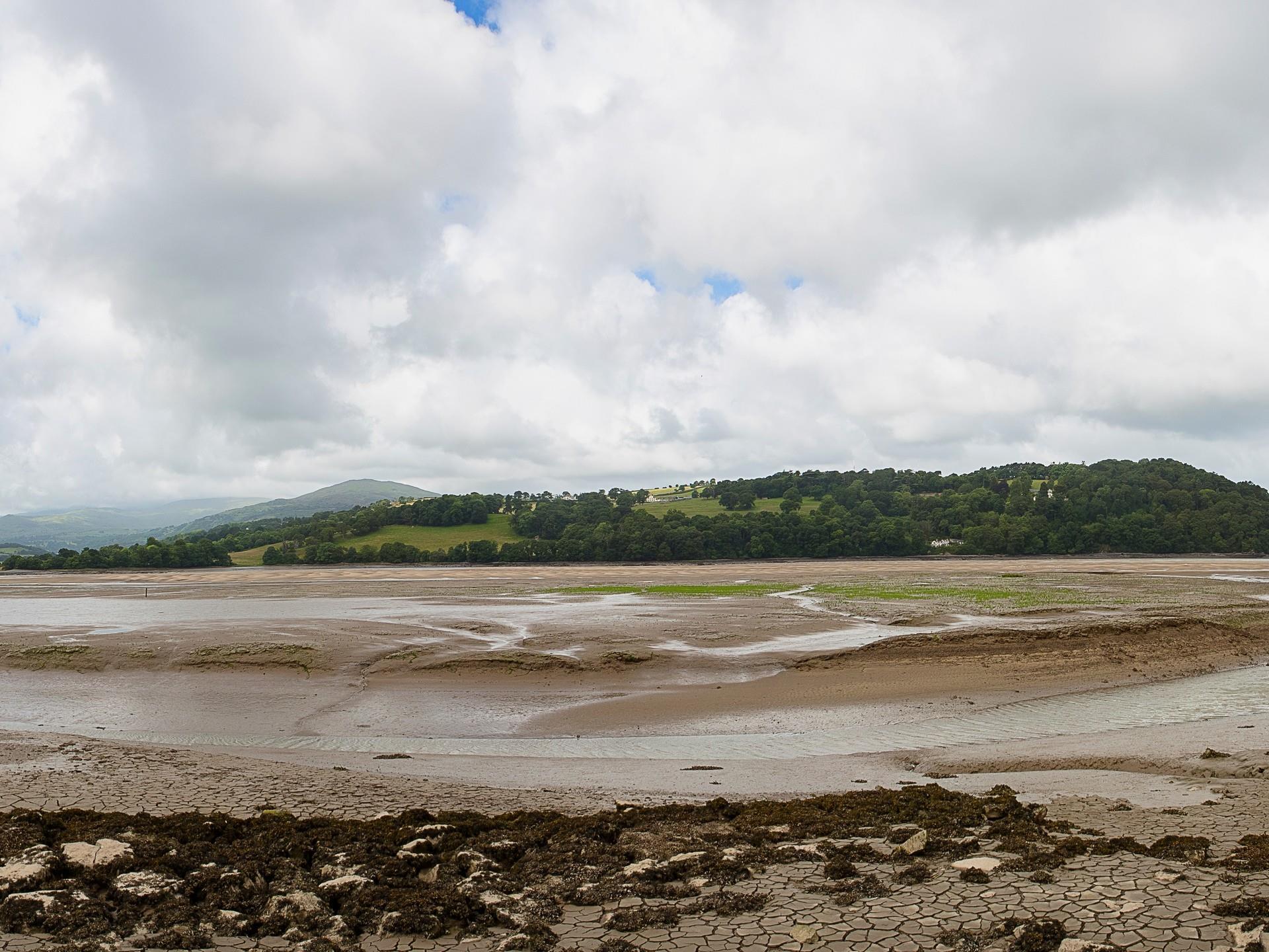 RSPB Conwy