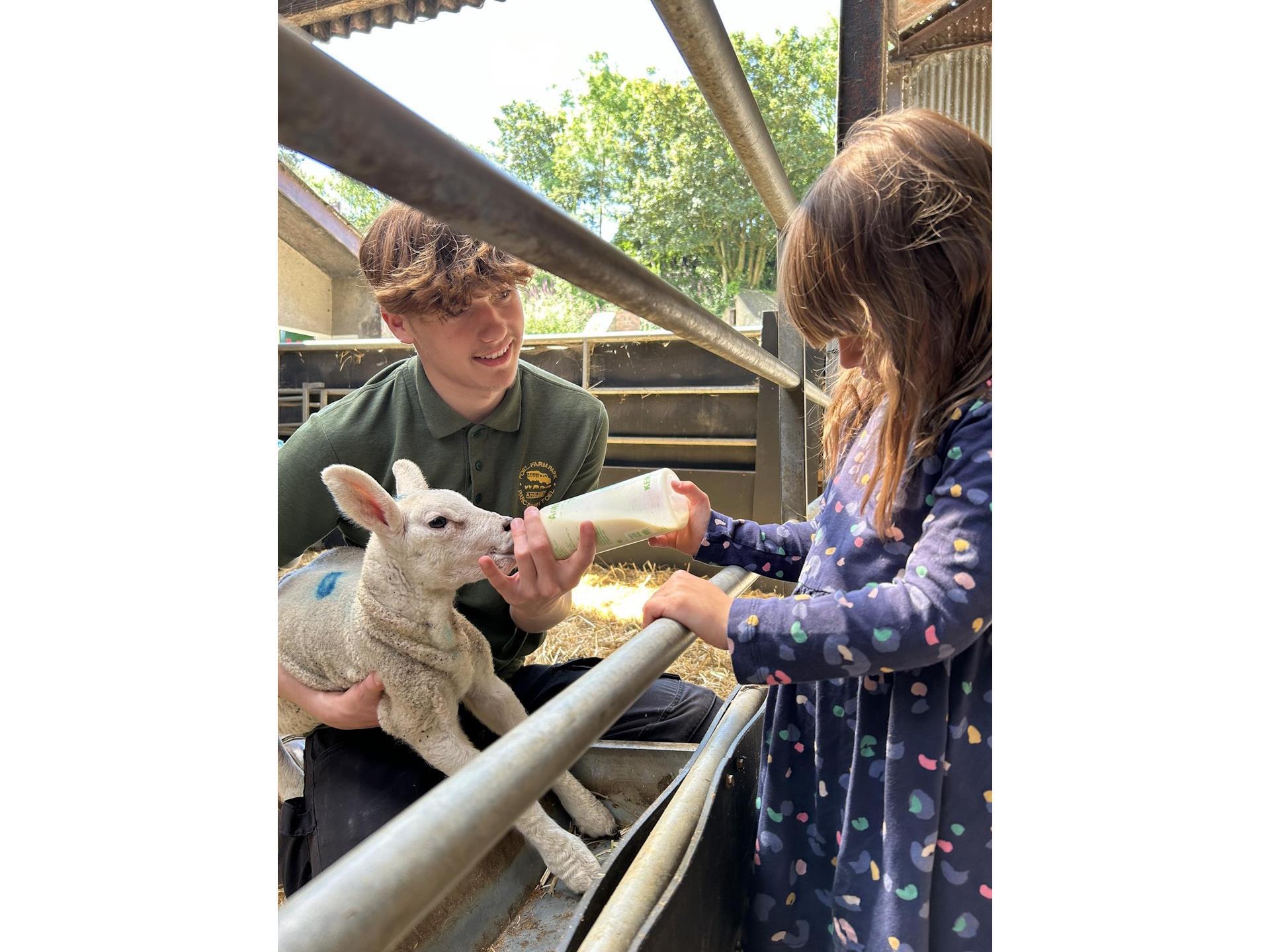 Foel Farm Park