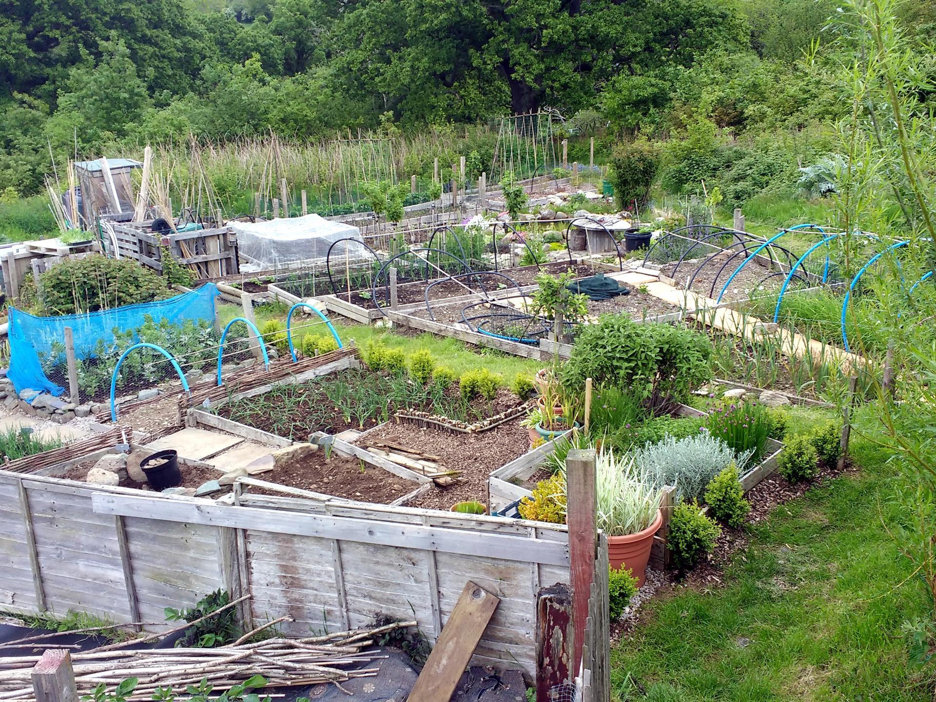 Tregarth Community Allotments CIC