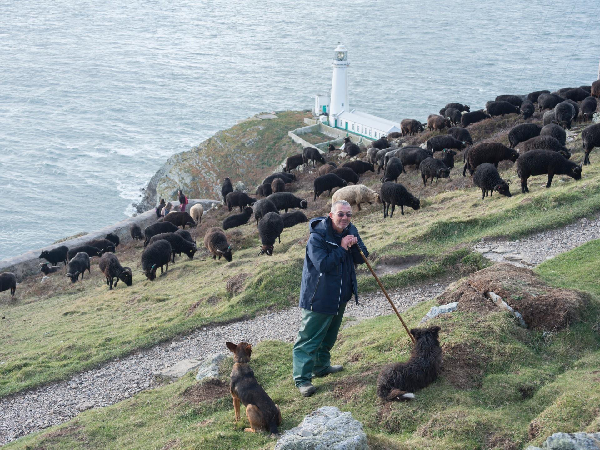 RSPB South Stack