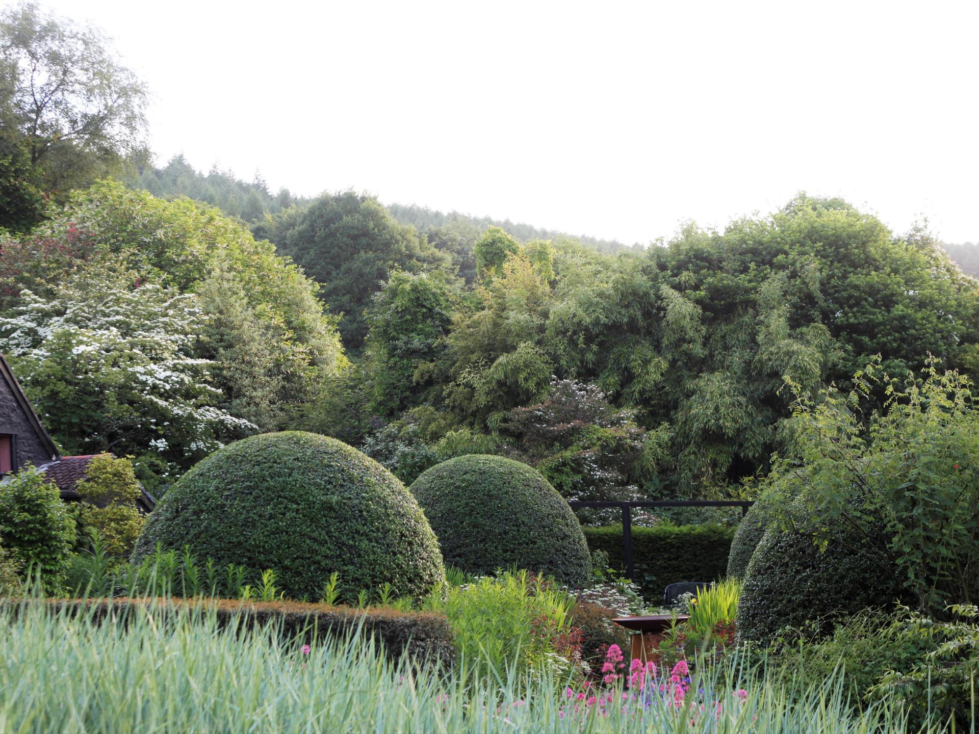 Front Garden at Veddw