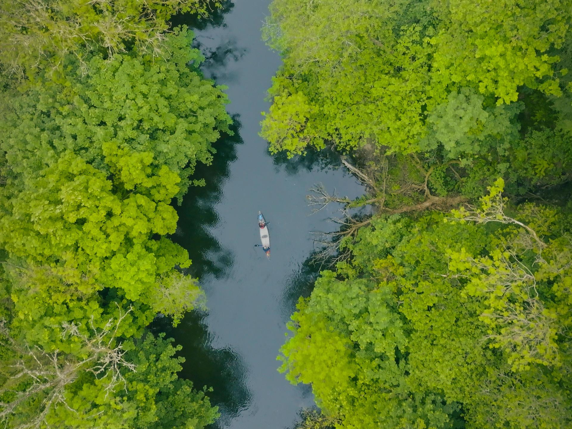 Canoeing on the River Teifi 