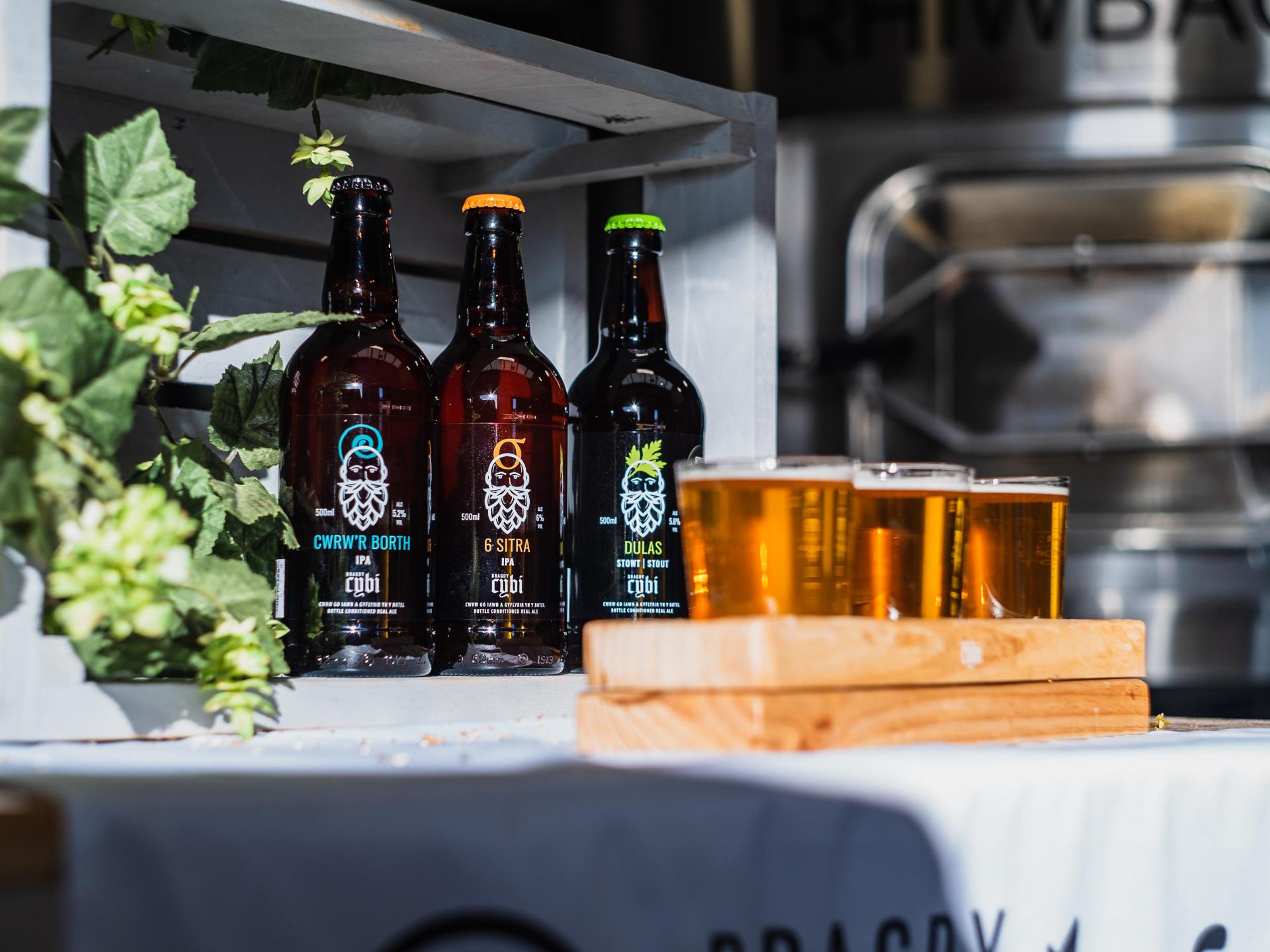 Ystod eang o gwrw / Wide range of beer