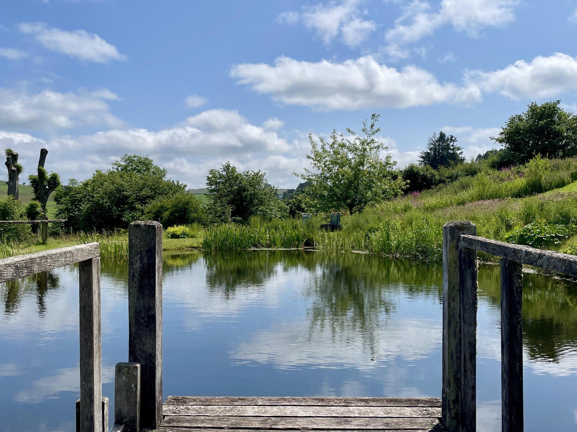 Wild swimming pond