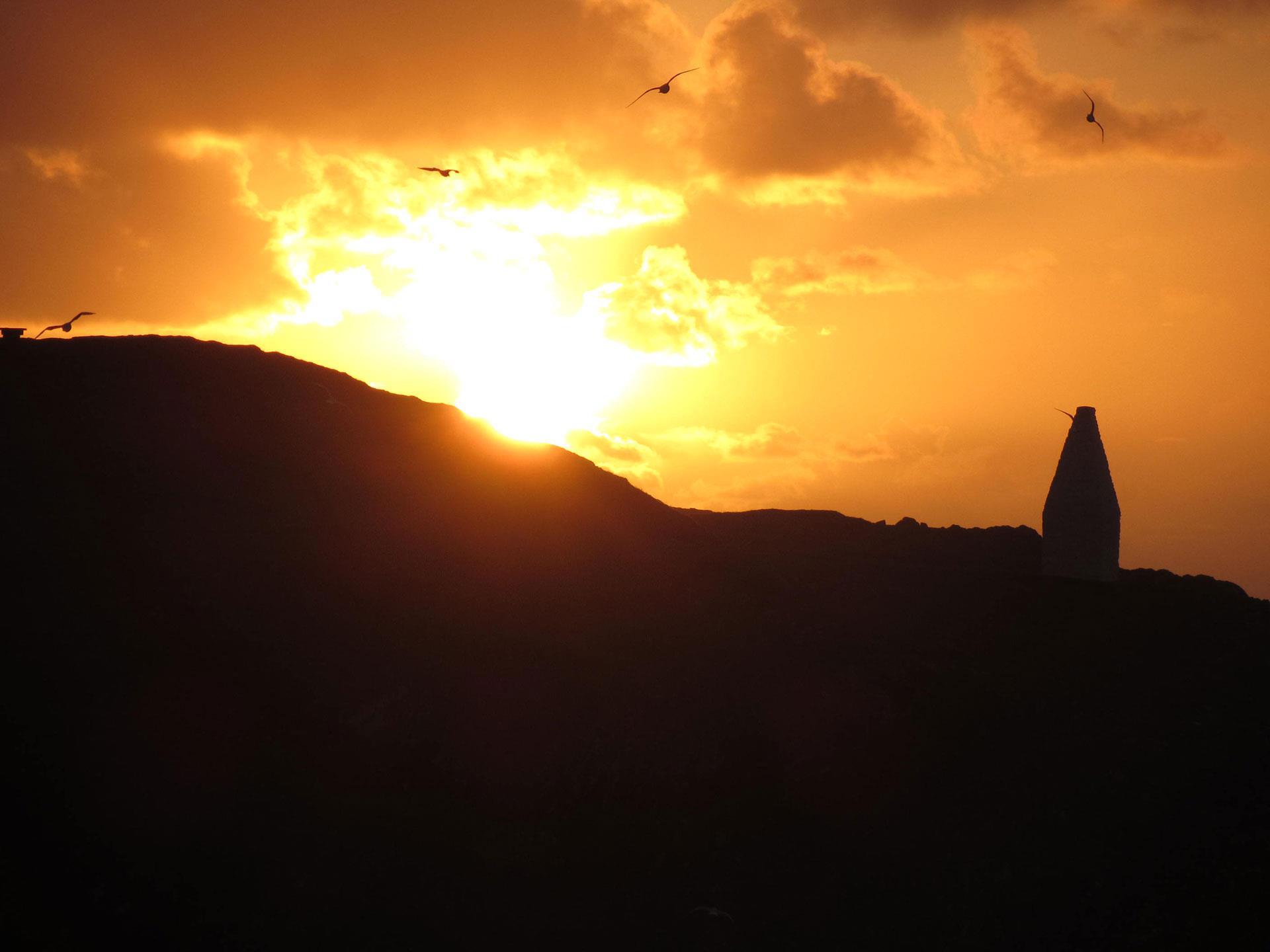 Sunset and seagulls in Porthgain