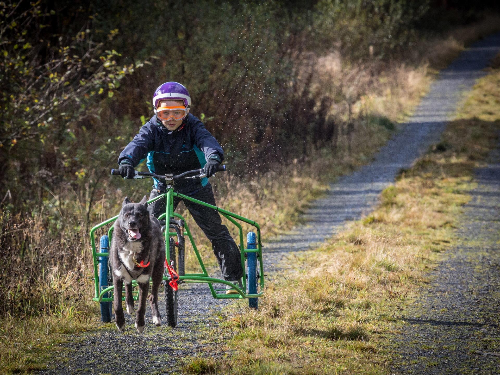 Mynydd Sleddog Adventures