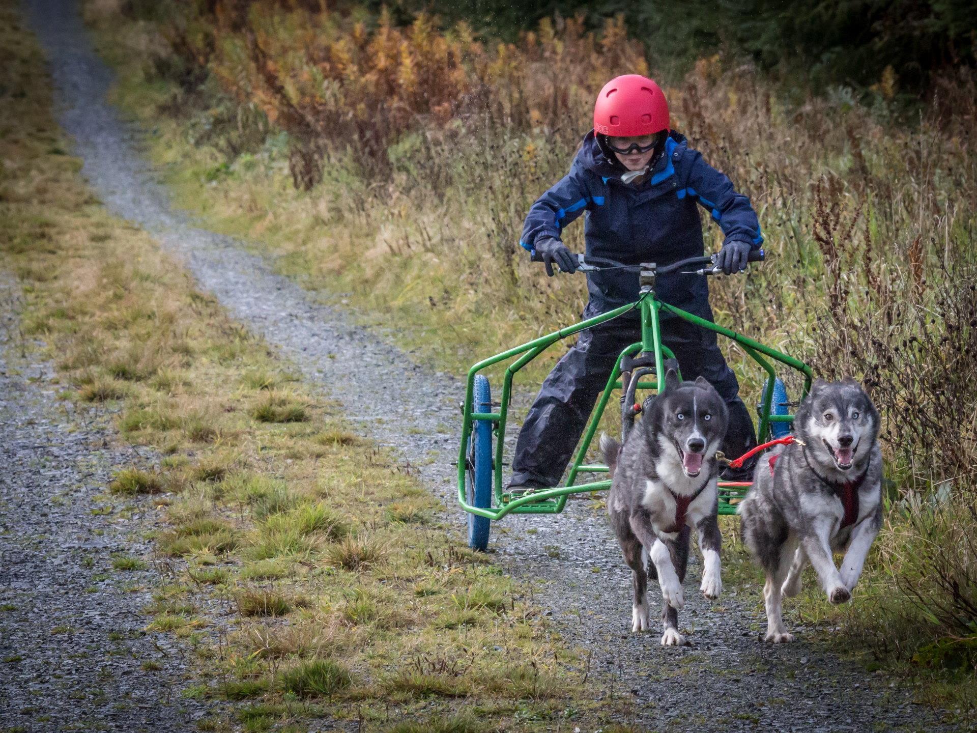 Mynydd Sleddog Adventures