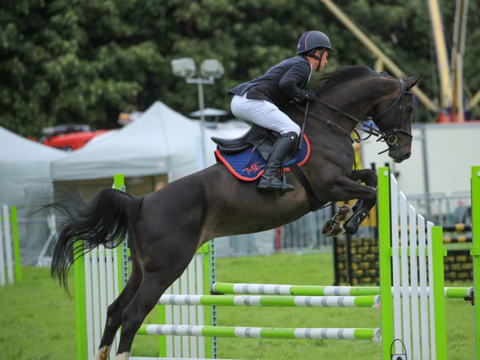 The Vale of Glamorgan Agricultural Show