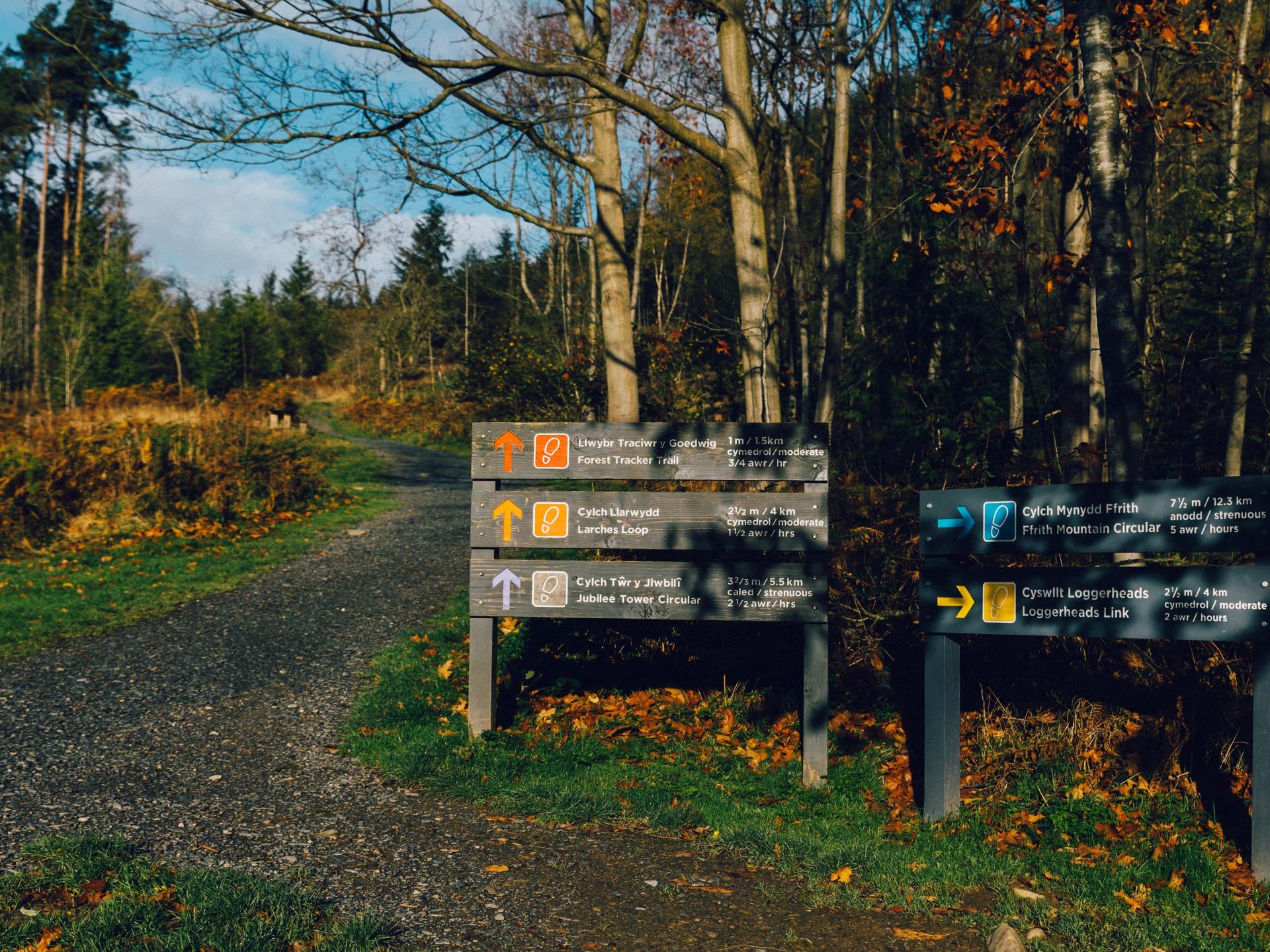 Choice of walking trails