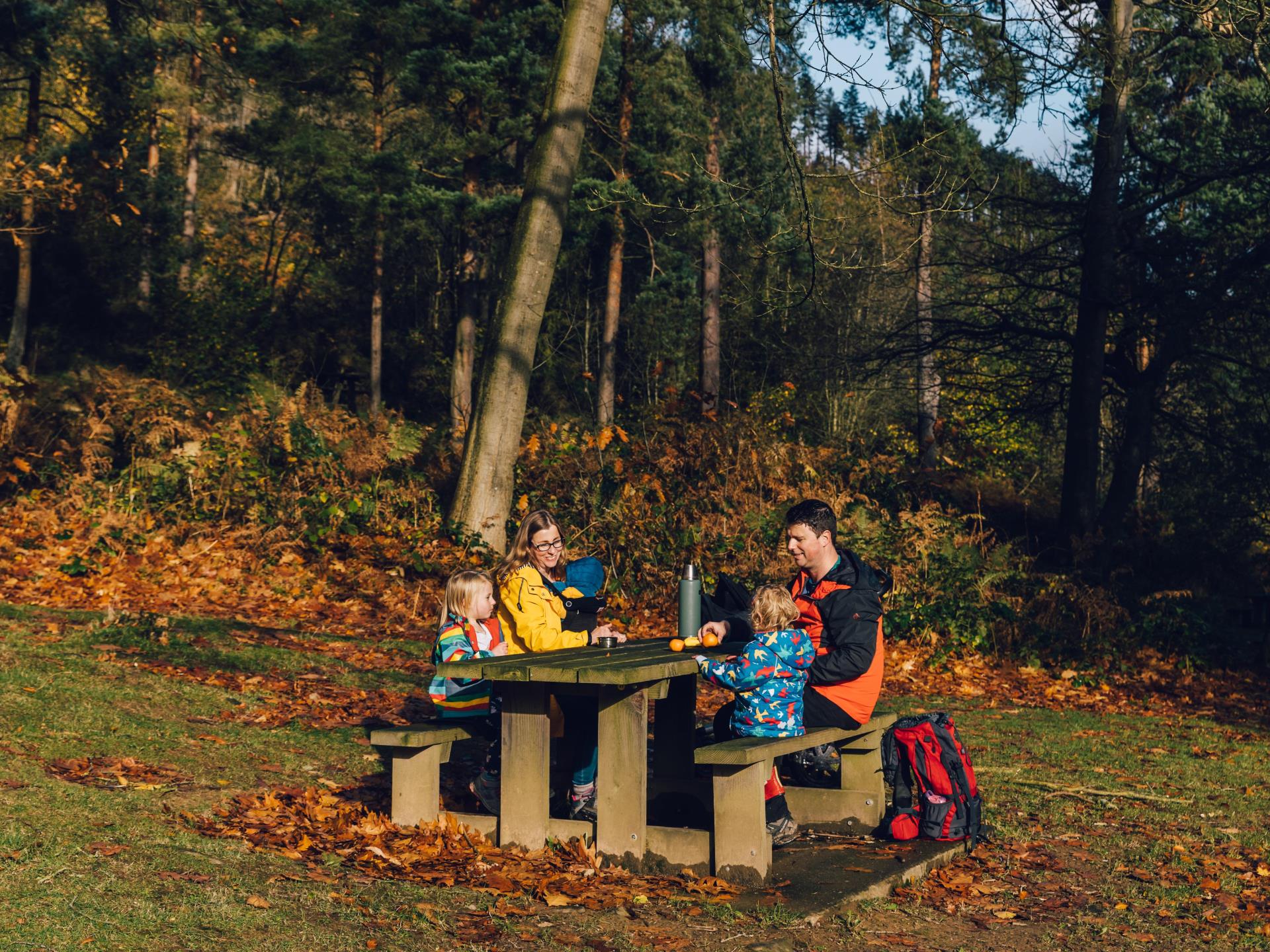 Picnic area