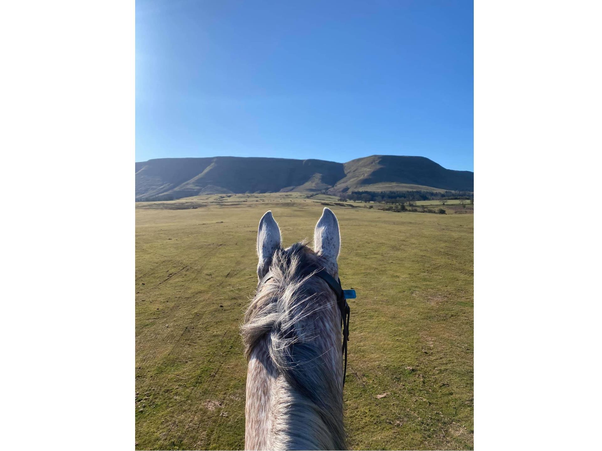 Tregoyd Mountain Riders