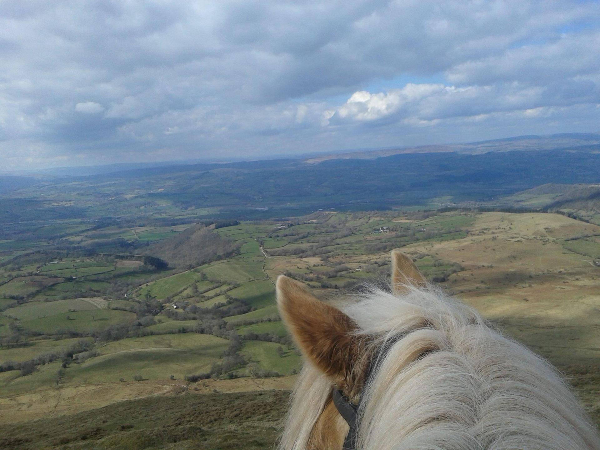 Tregoyd Mountain Riders