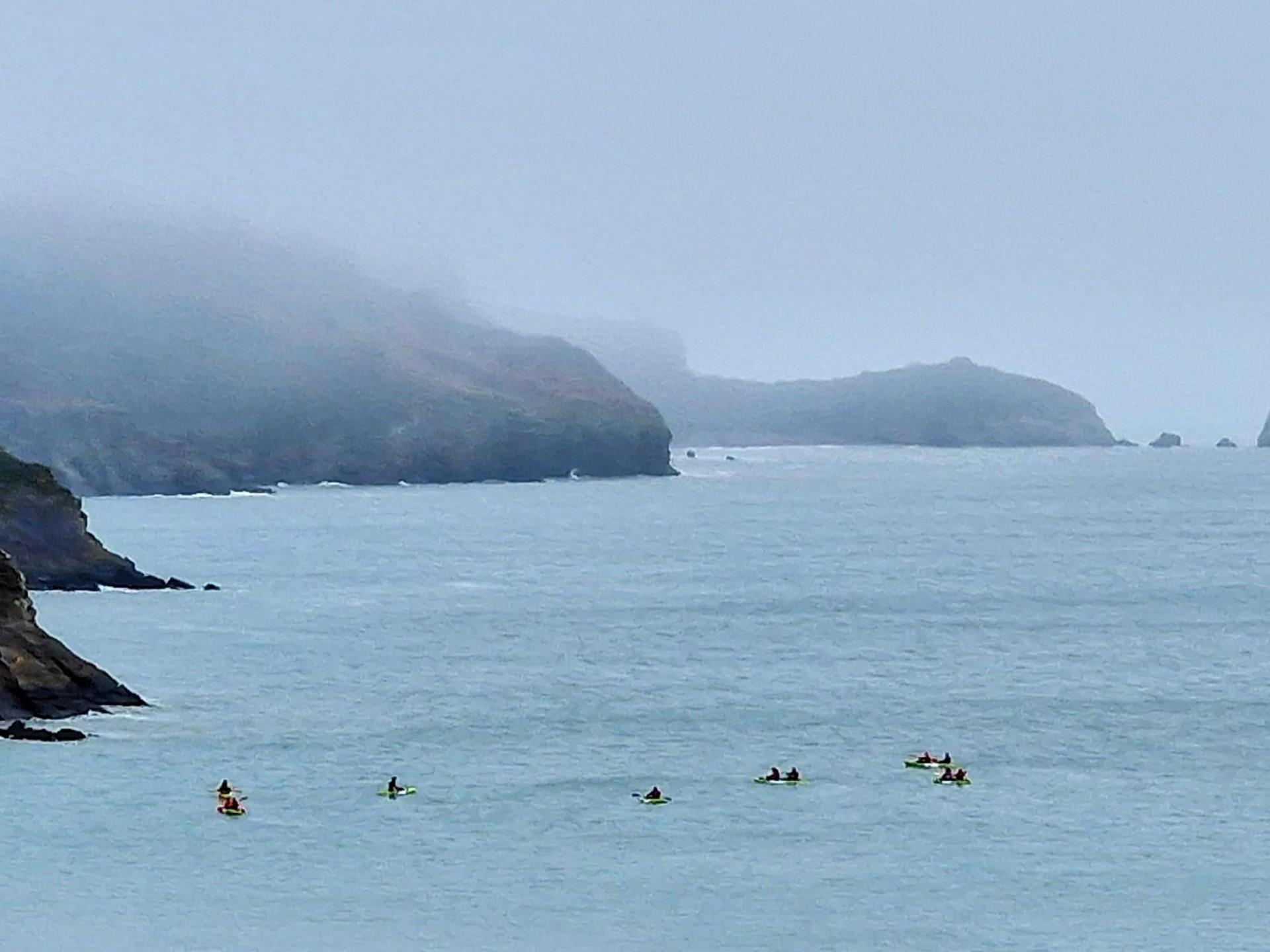 The wild coast near Tenby