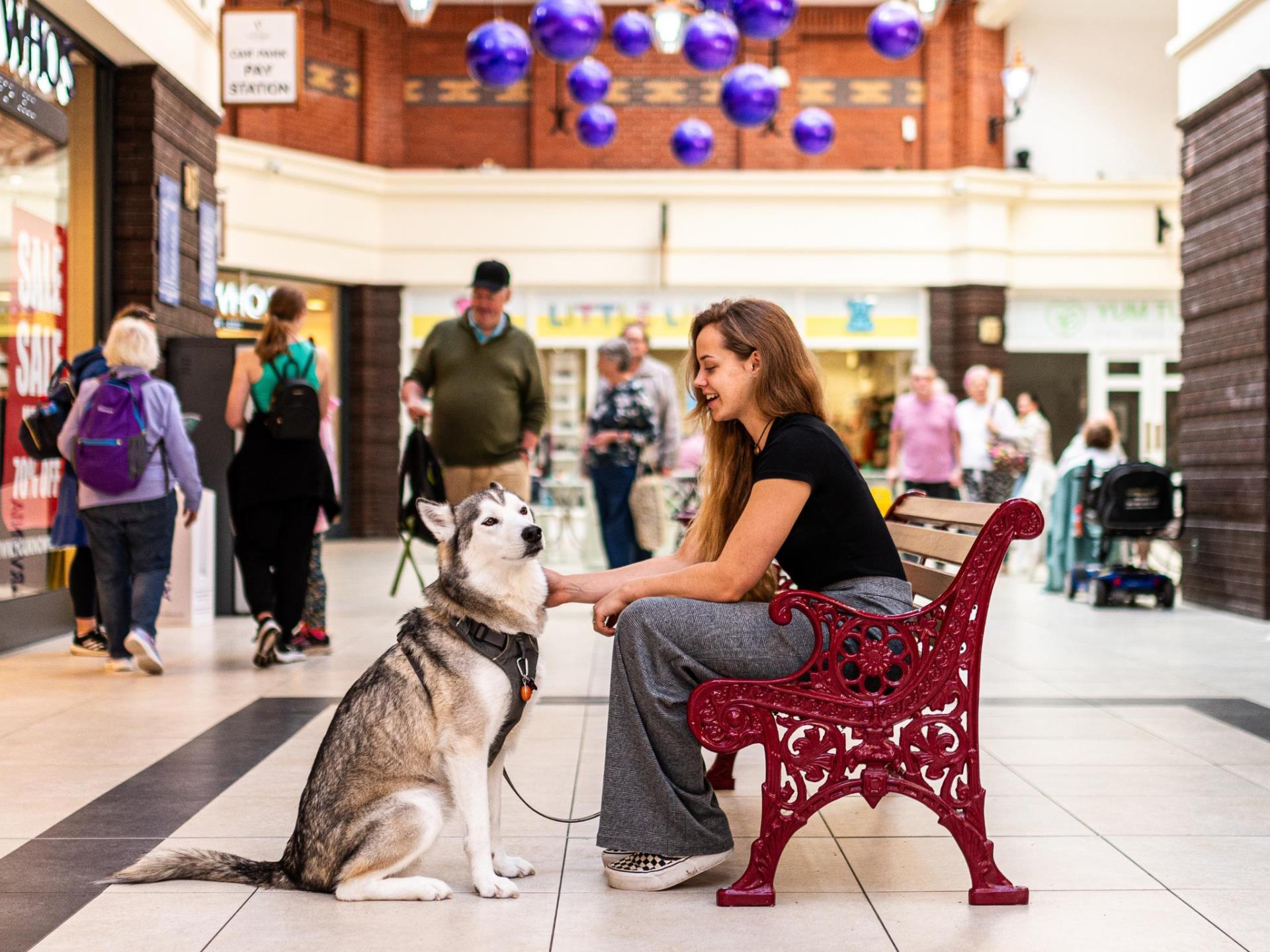 Victoria Centre Dog Friendly