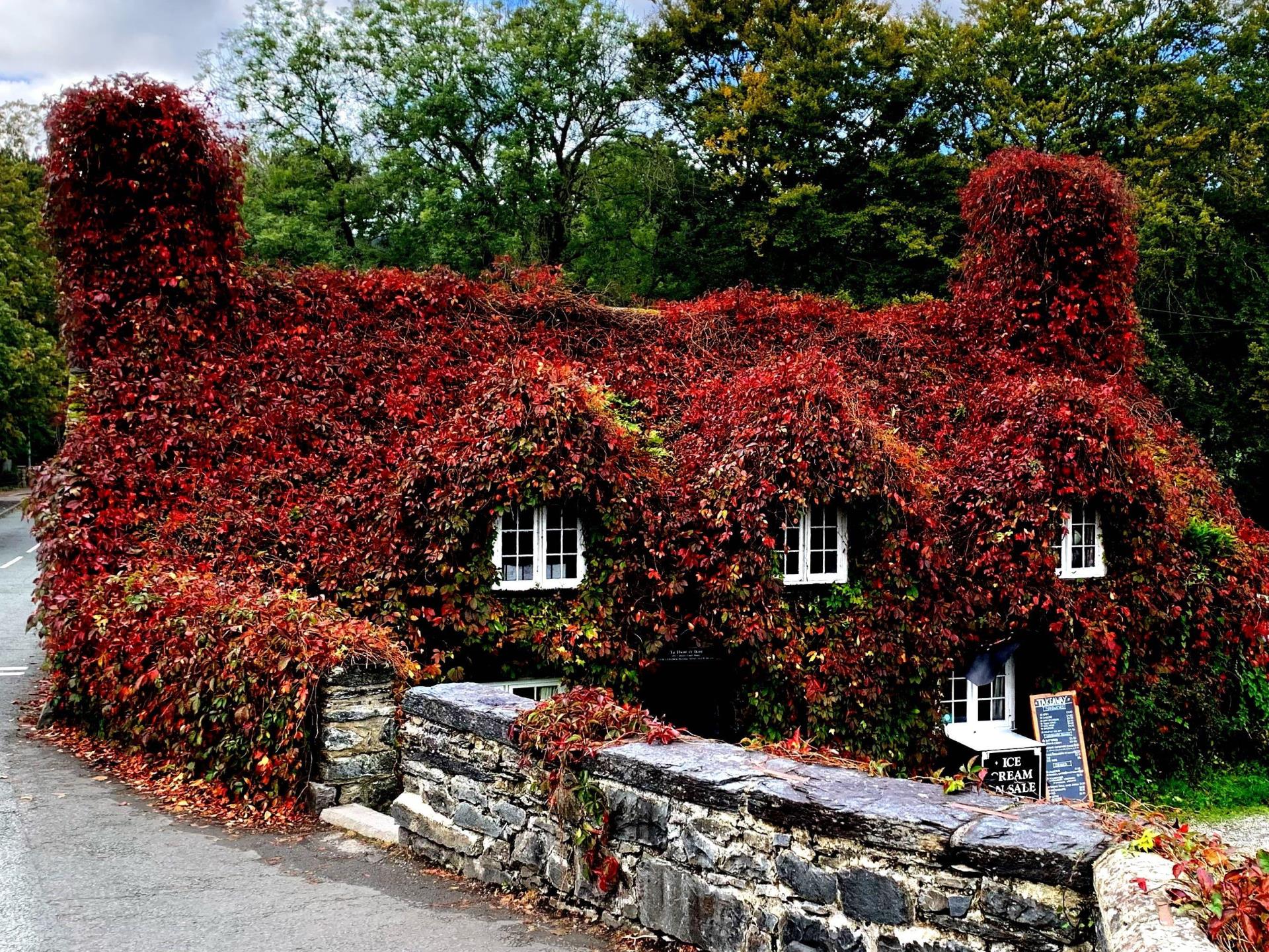 Autumnal Exterior of Tu Hwnt i'r Bont