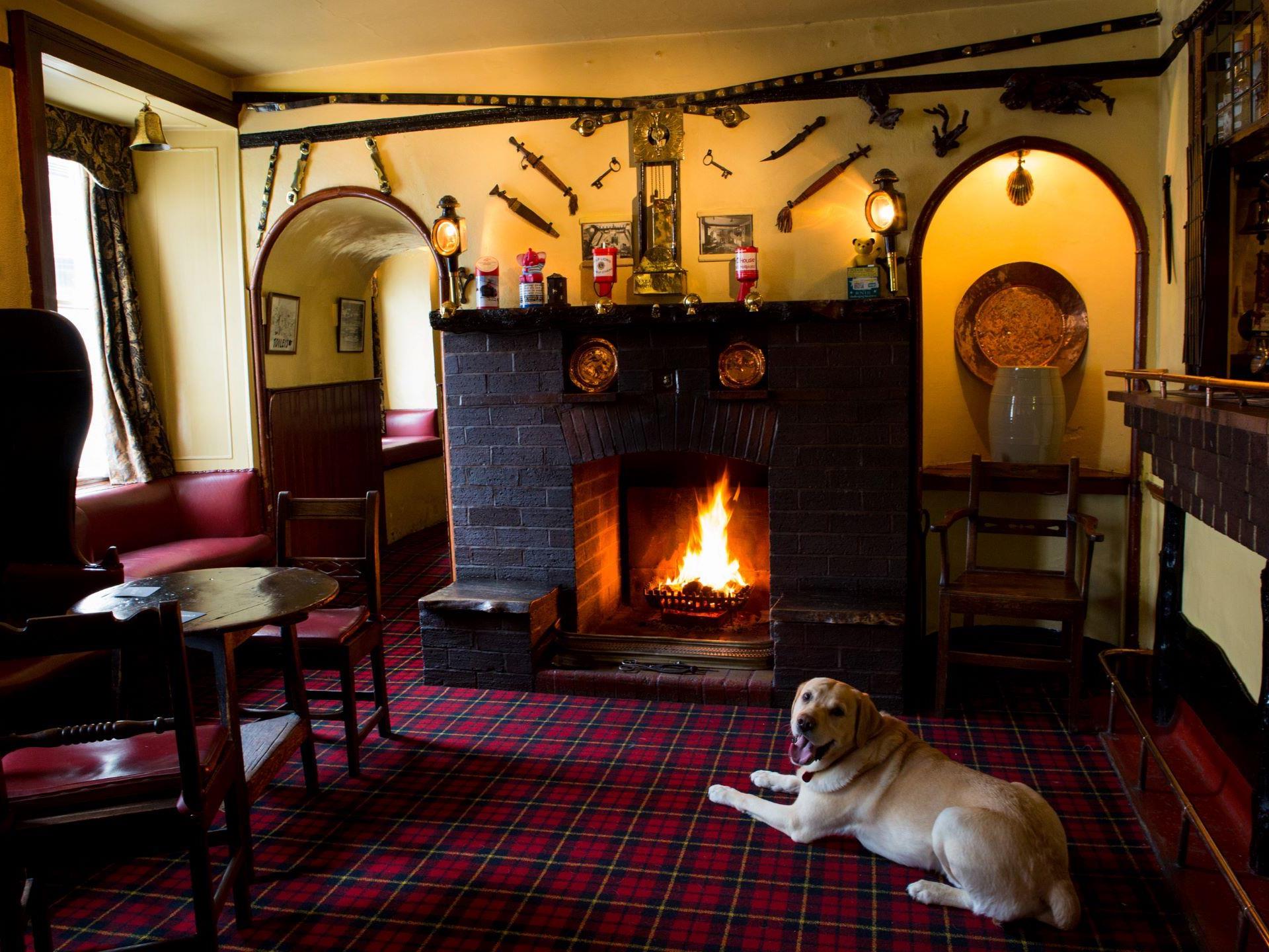 Fireplace (and dog) in the bar