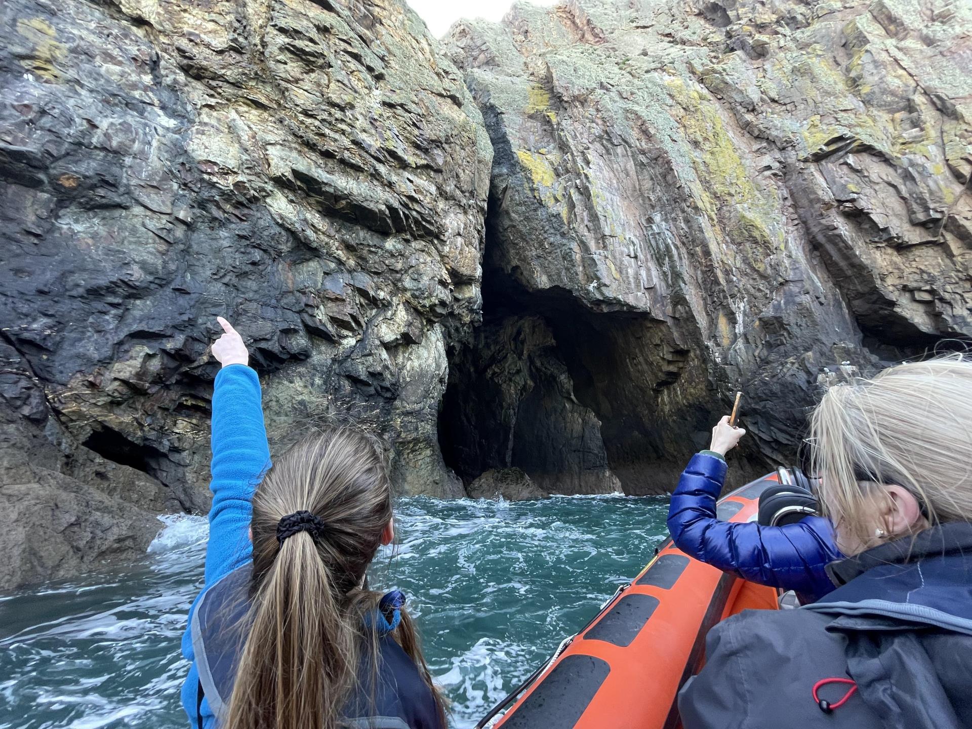 Ramsey Island boat trip 