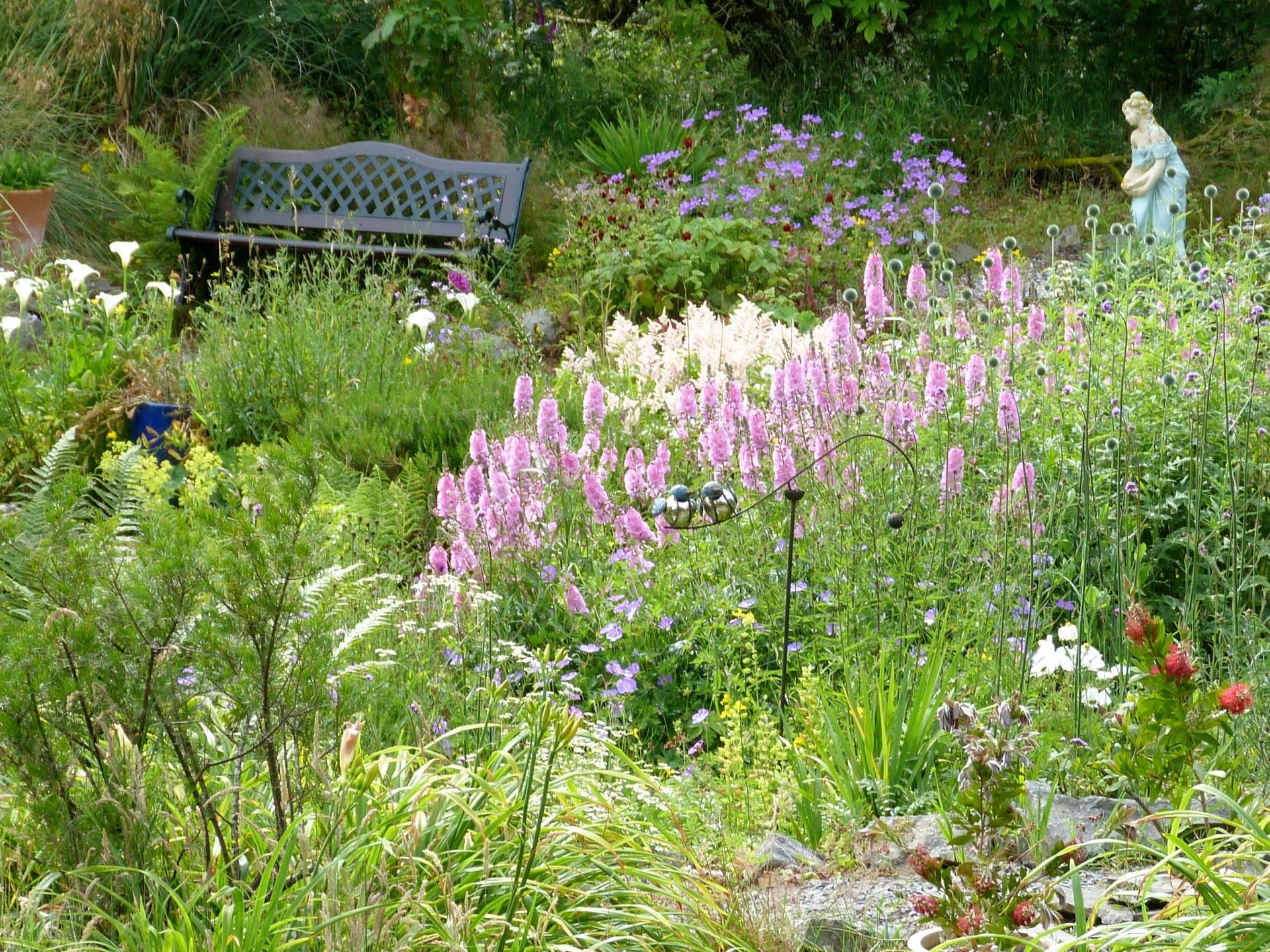 soft, colourful planting in "Lauren's "garden