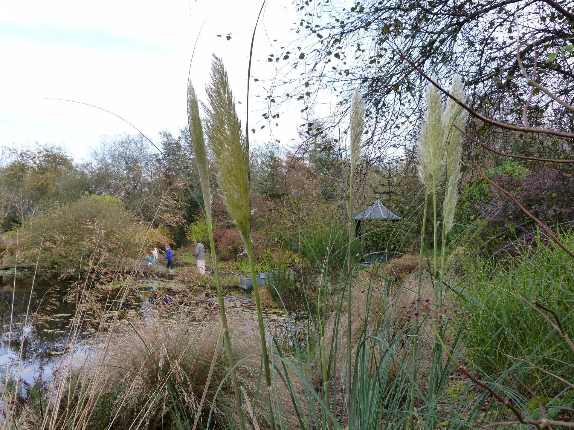 Children "pond dipping" in the lake 