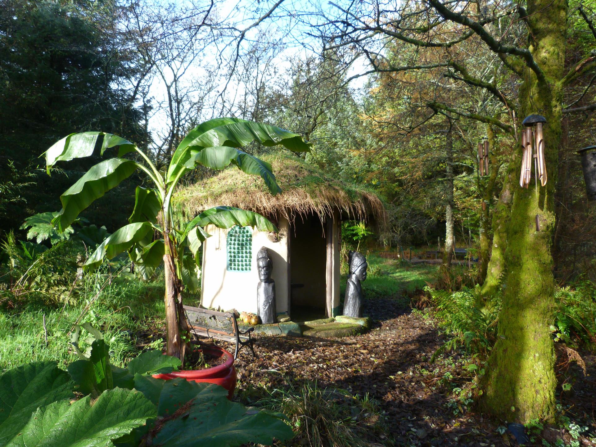 Jungle hut