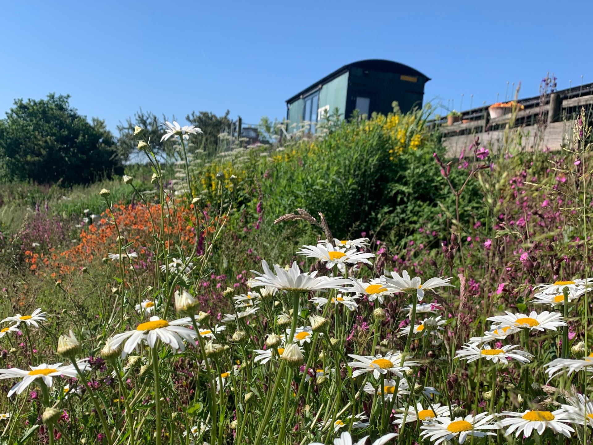 Gardens & glamping truck