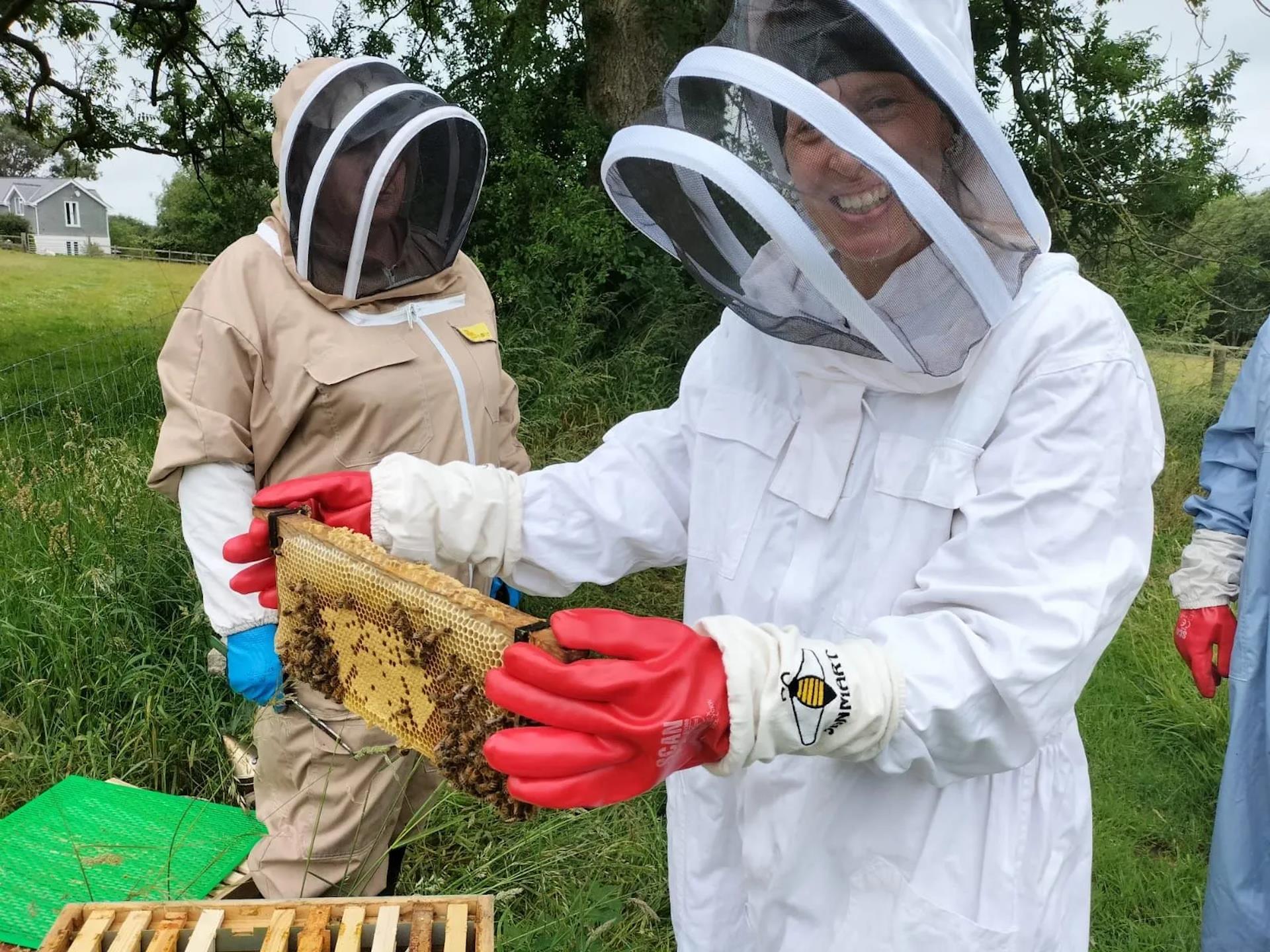 Anglesey Bees / Gwenyn Mon