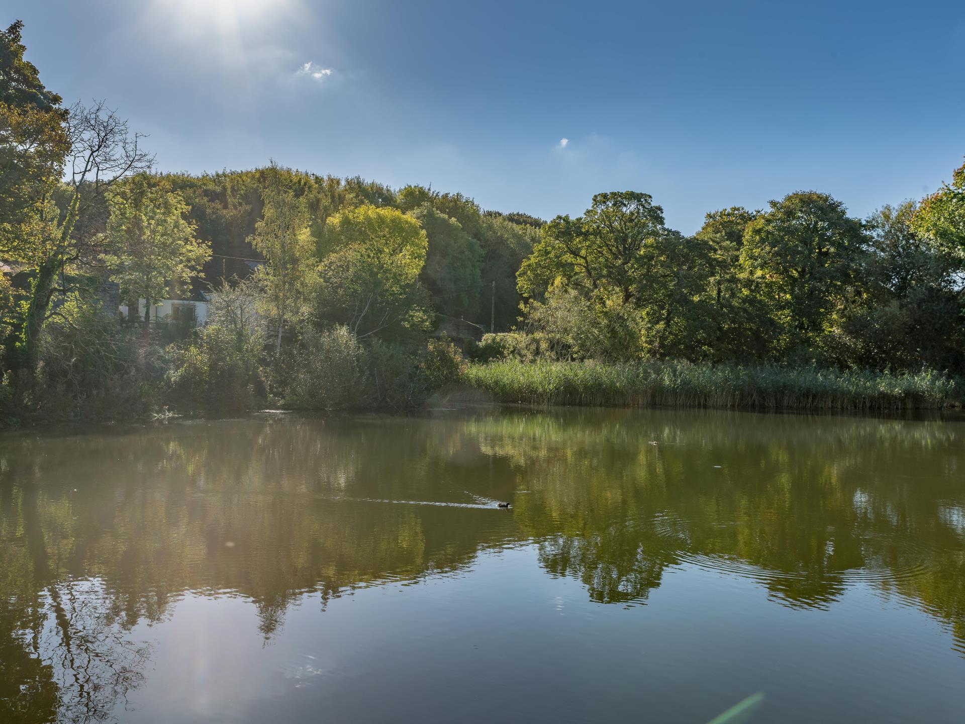 Mill Pool