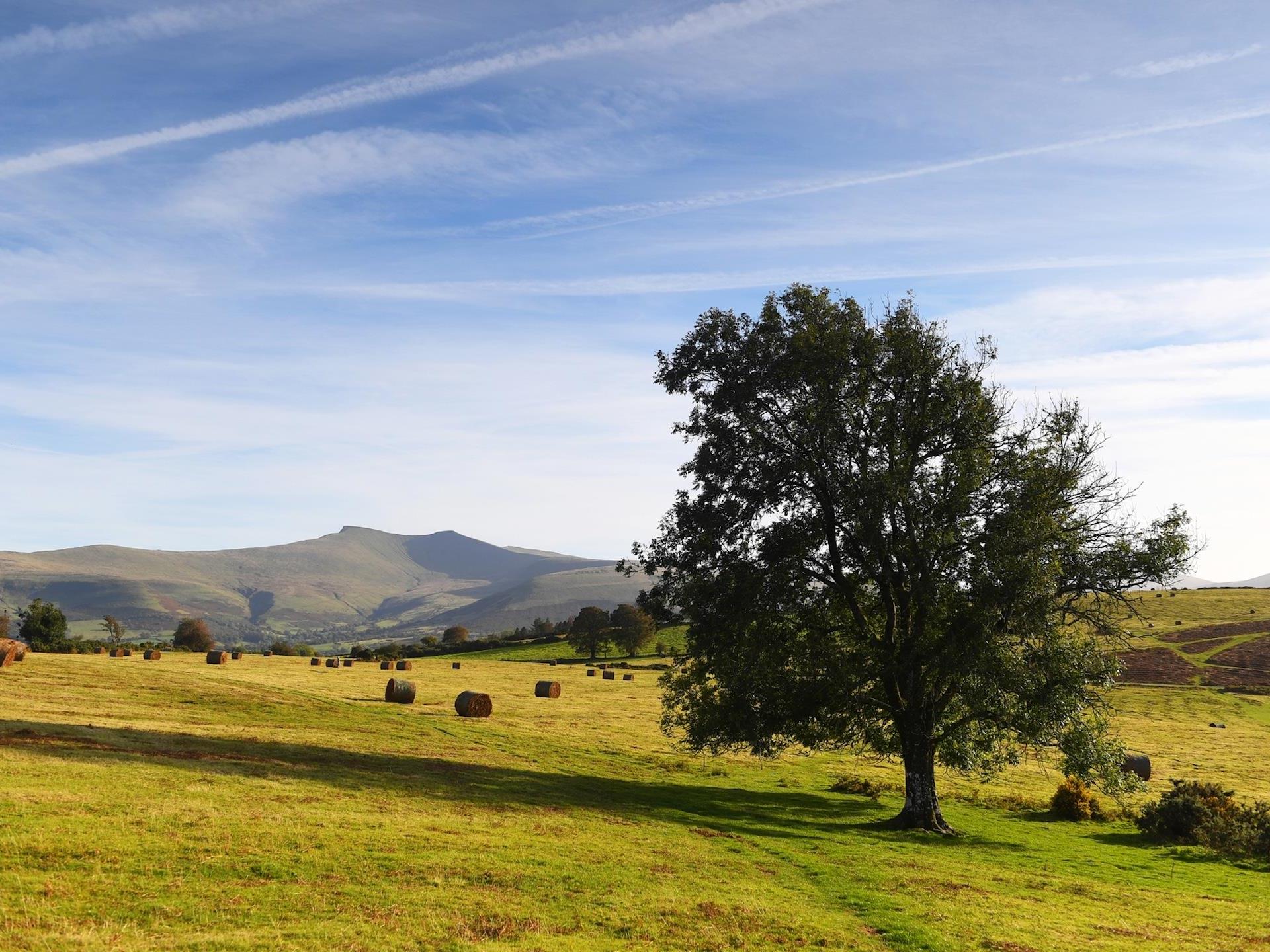 View of Pen y Fan