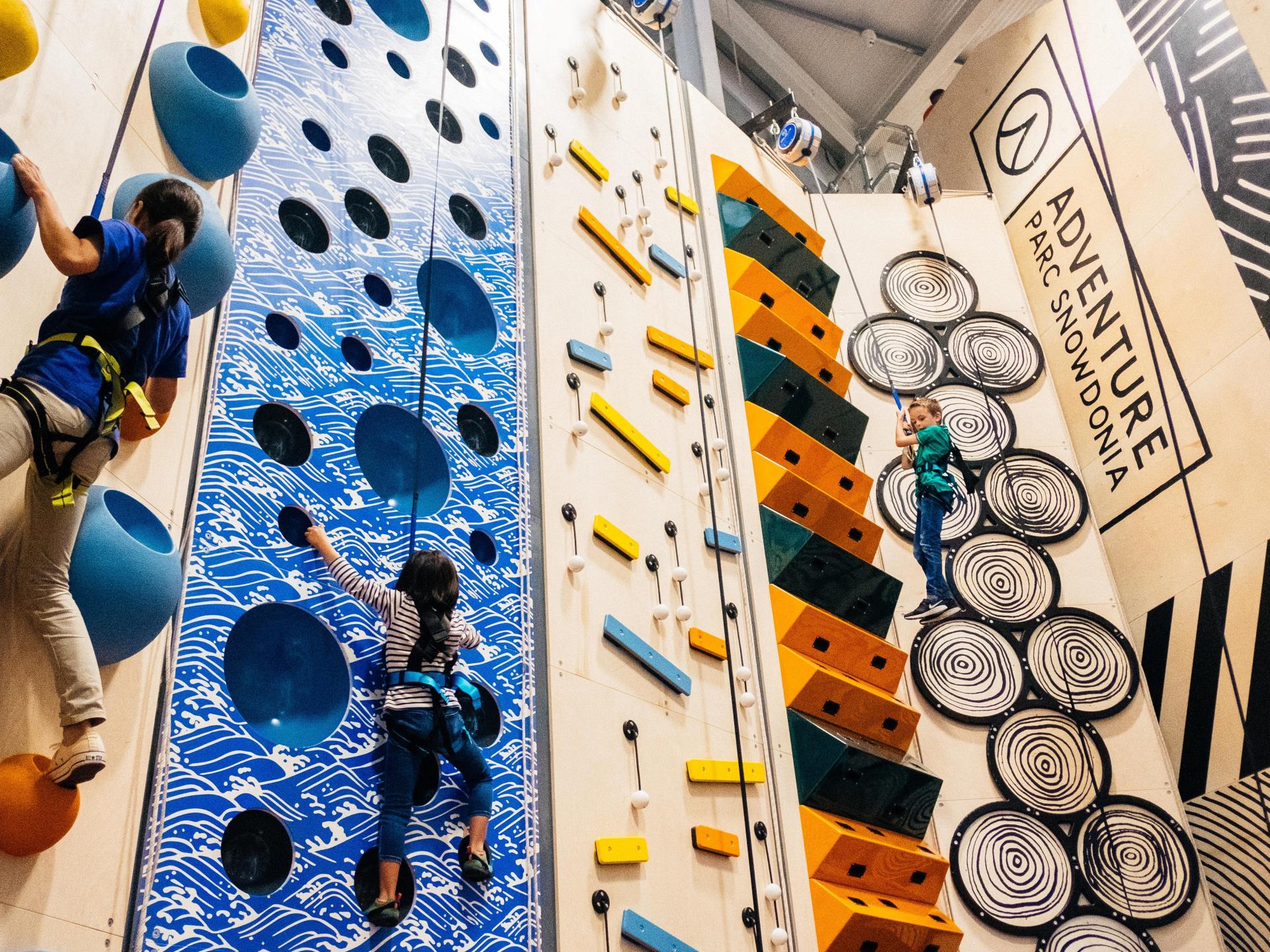 Altitude Climber at Zip World Conwy