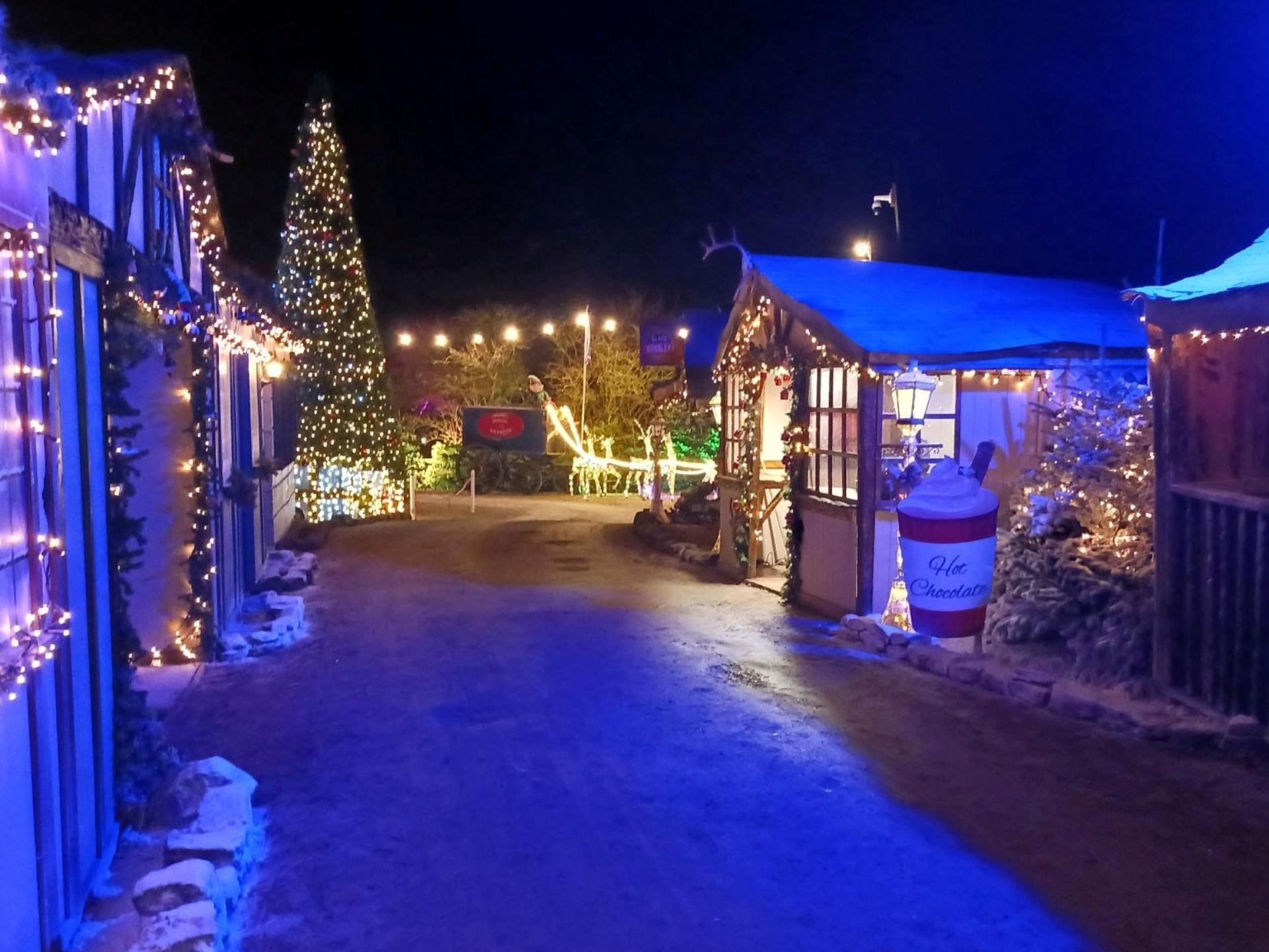 Elf Town