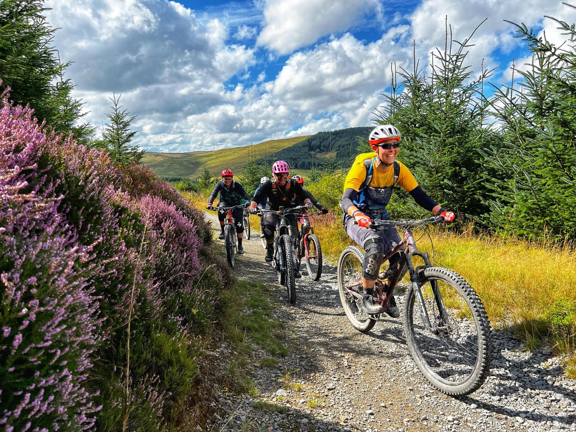 Hafren Forest