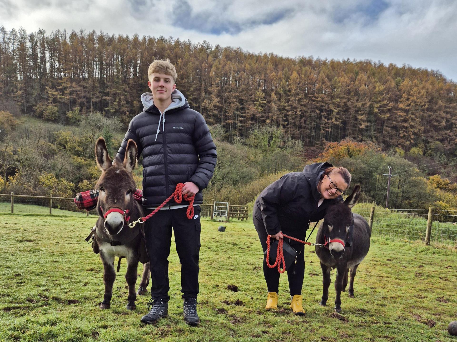 Mothers day mini donkey experience