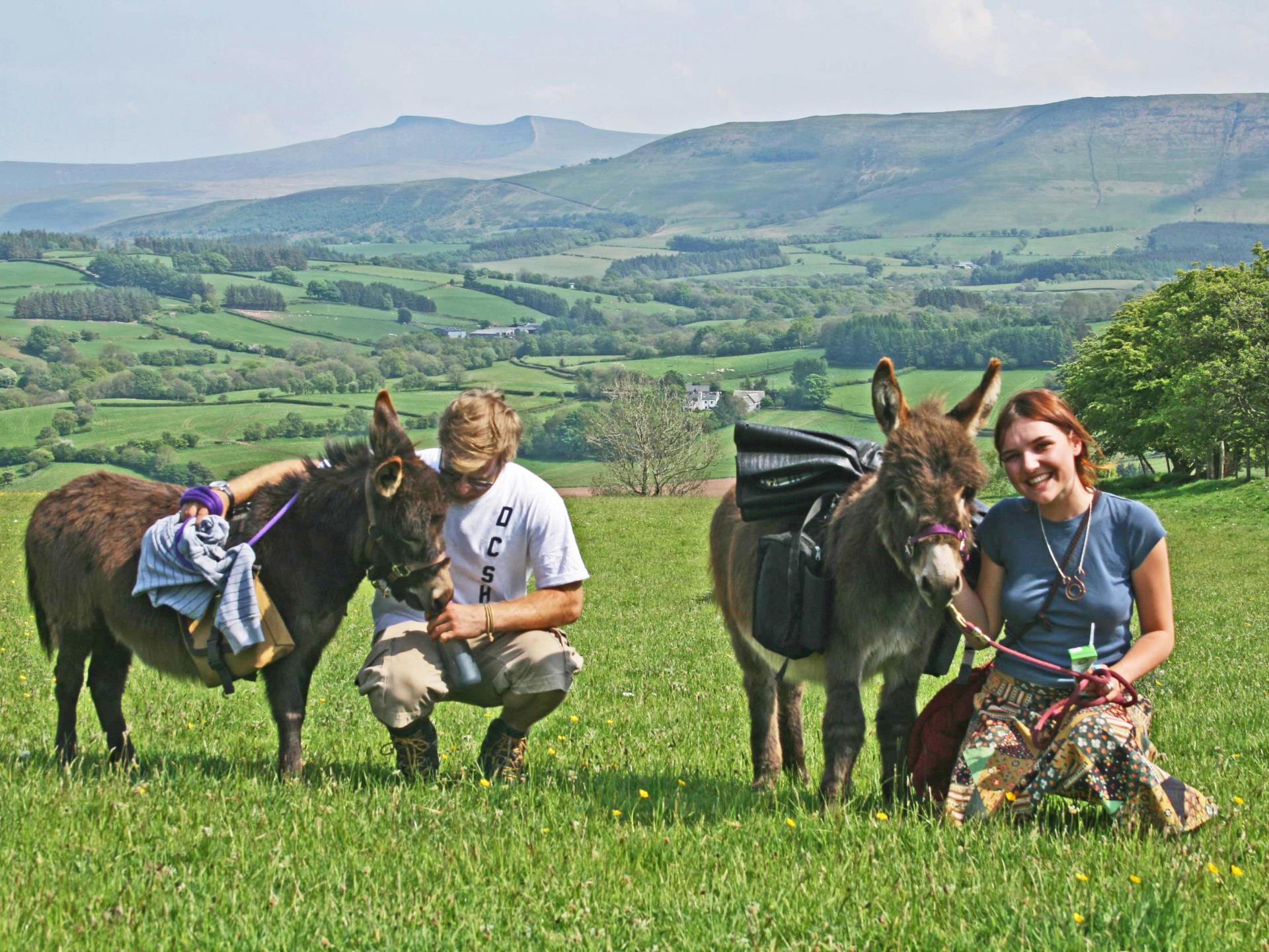 Take a pair of miniature donkeys for a scenic walk