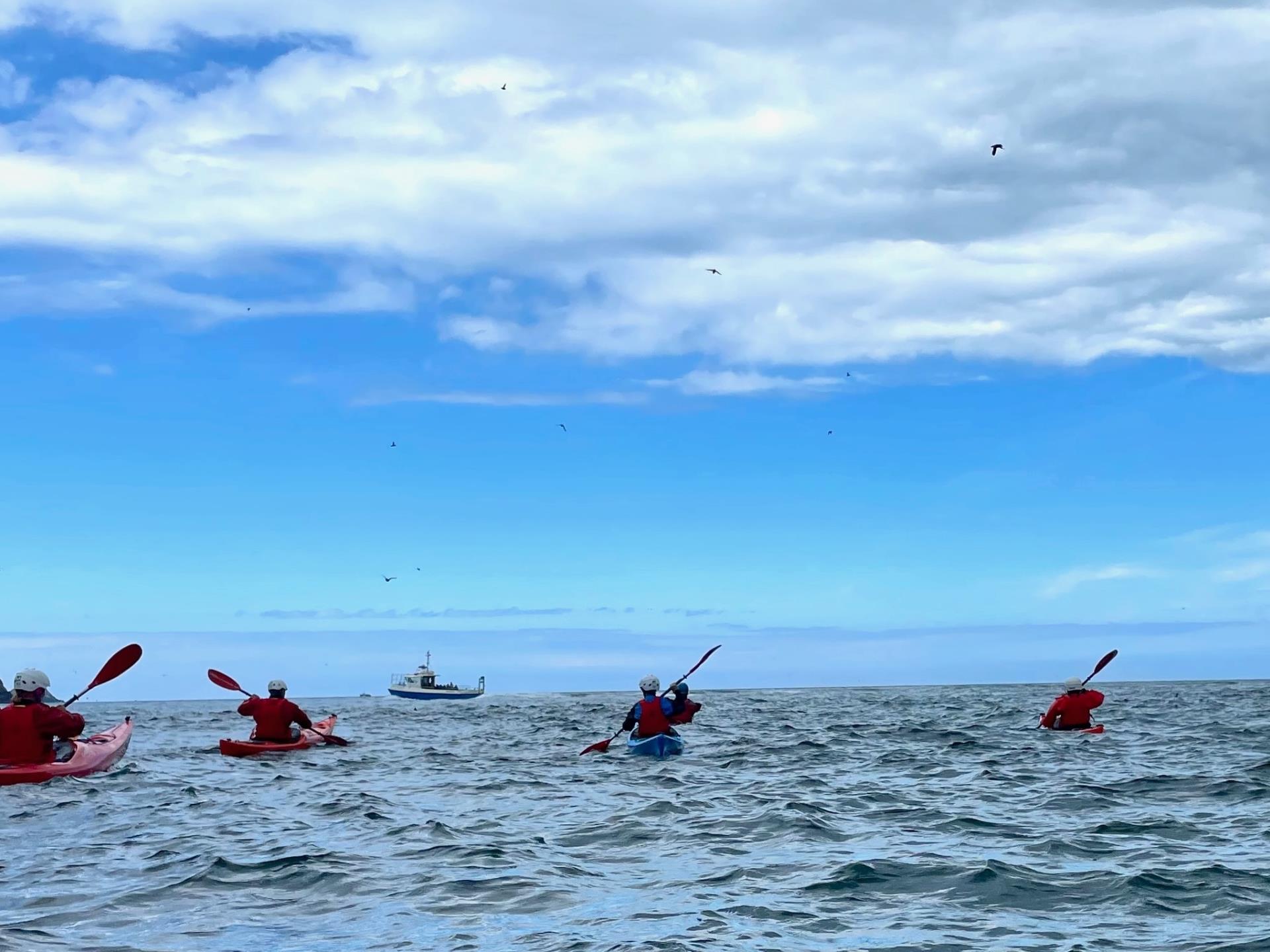 Sea kayaking to Skomer Island