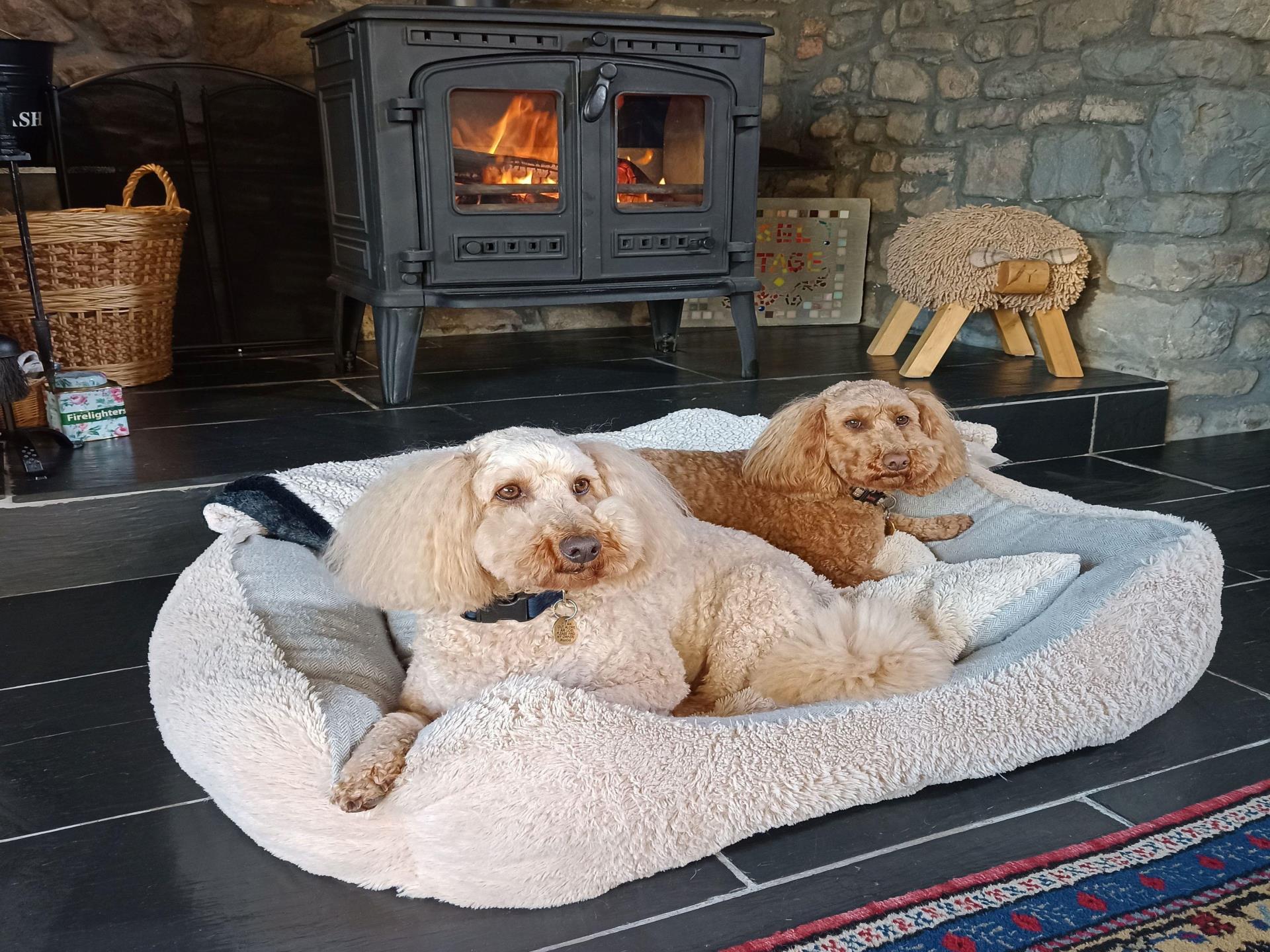 Cosy Woodburner in Spacious Living Room